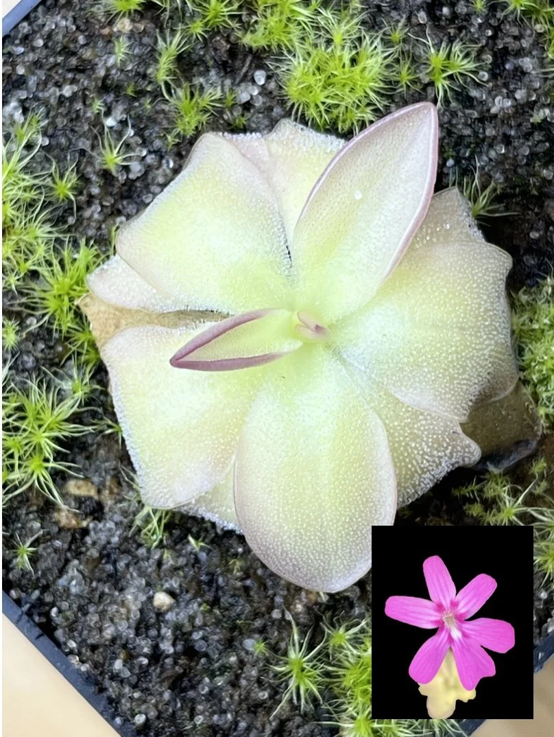 Image 4-28-26 at 12.41 PM.jpg