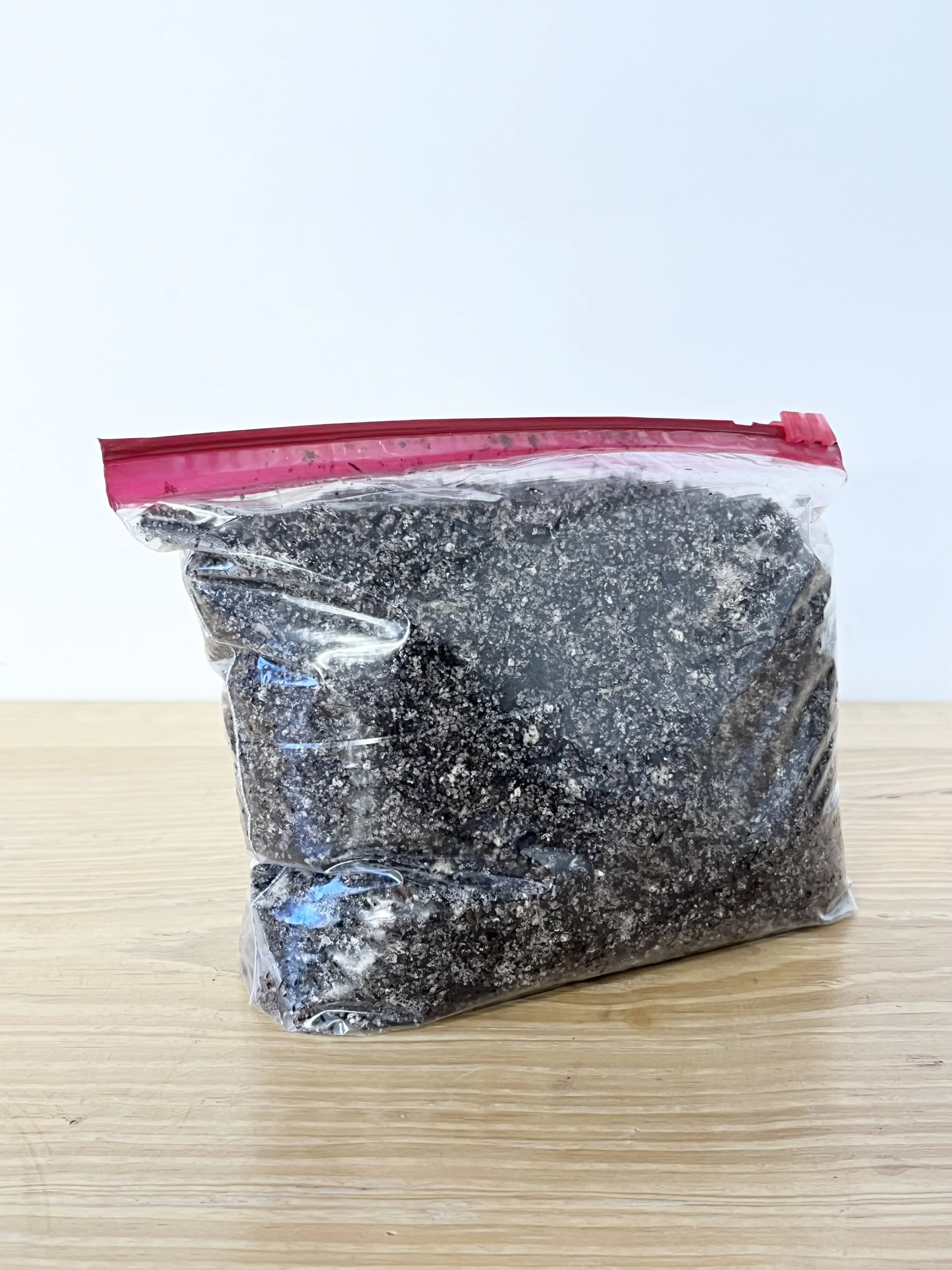 Carnivorous Plant Soil Mix (Free Draining)- 1 Quart