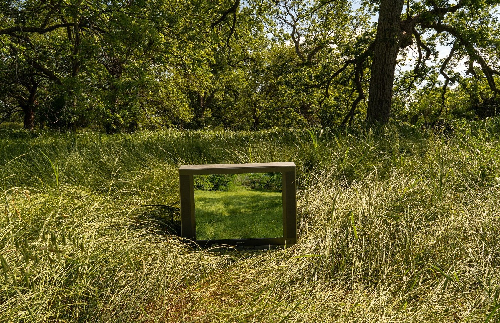 Another-Channel4