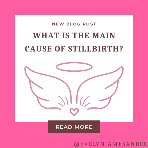 What is the Main Cause of Stillbirth?
