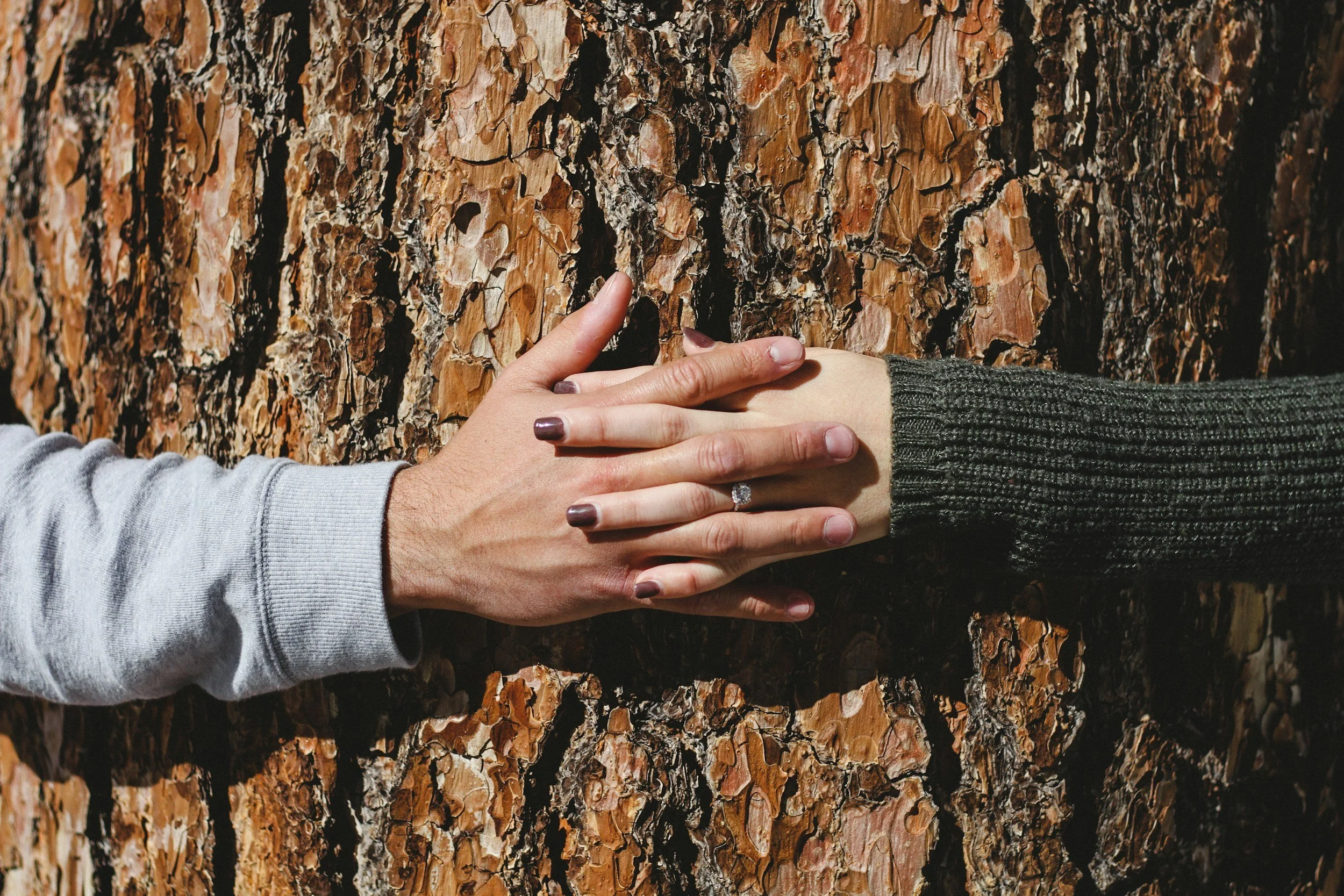 Man and Woman holding hands around a large tree