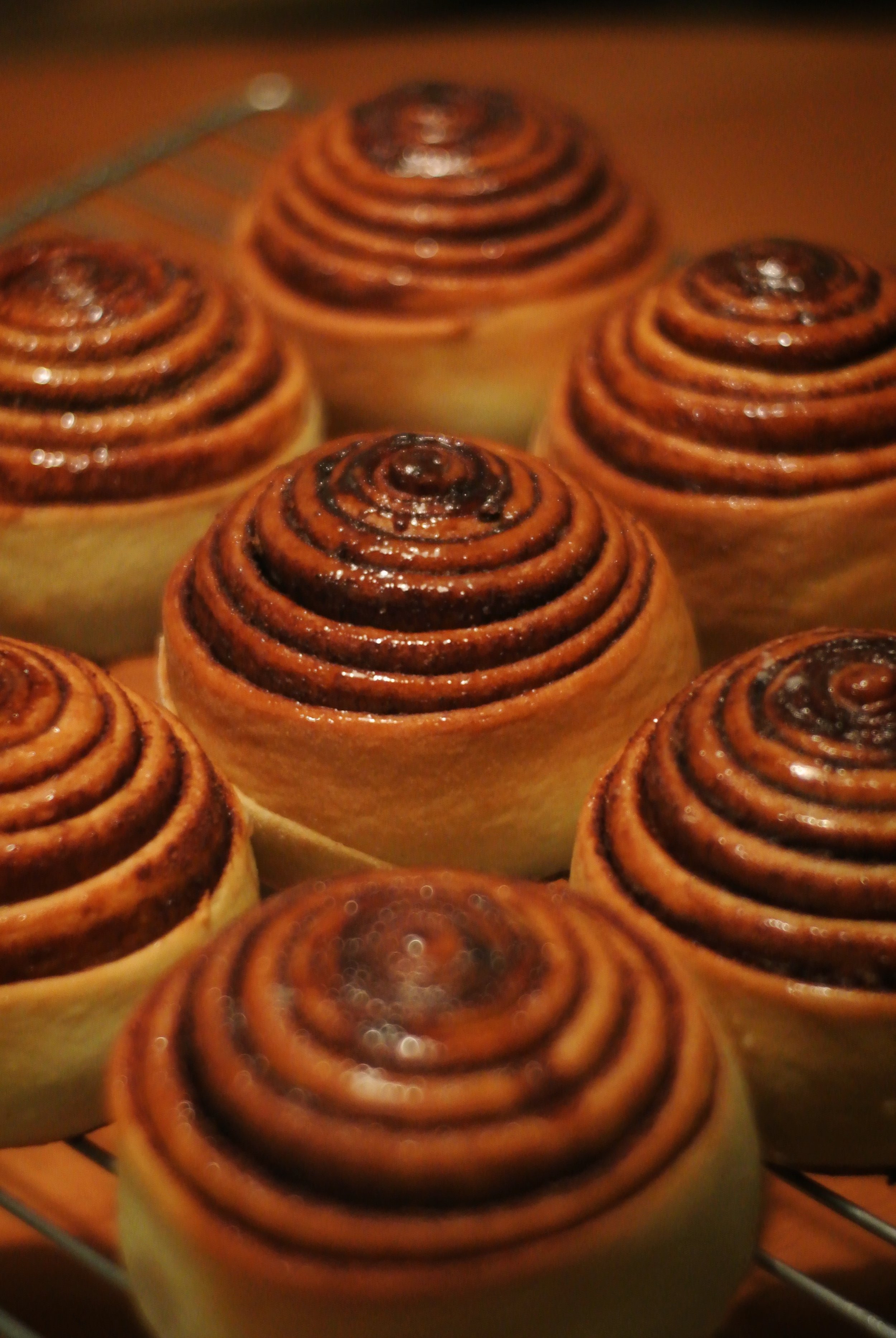 Classic Cinnamon Roll