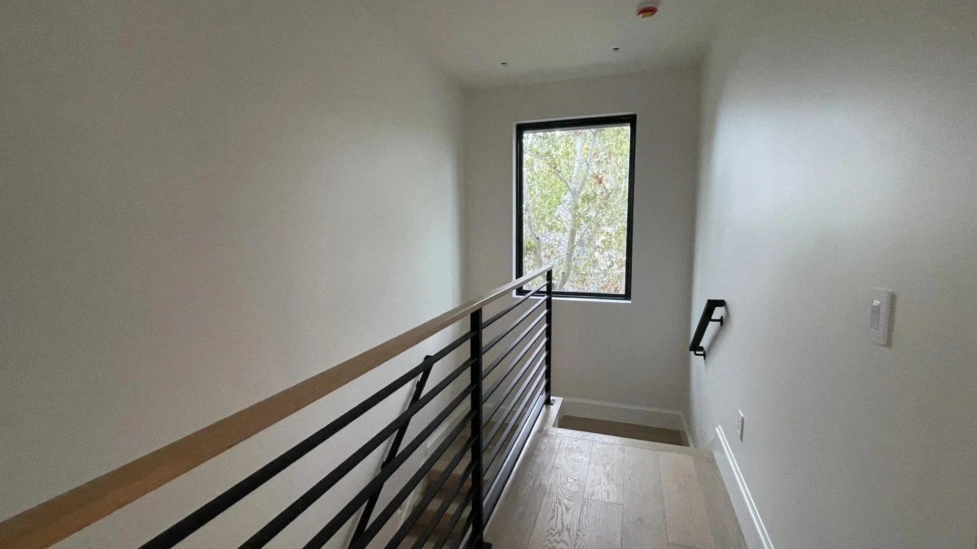 staira.jpg