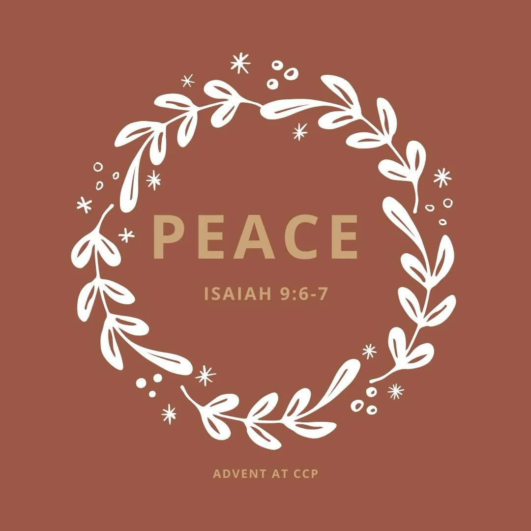 Isaiah 9:6-7 masterfully gives us the truest picture of all that Jesus would be to and for us. 

&ldquo;To us a child is born, to us a son is given; and the government shall be upon his shoulder, and his name shall be called Wonderful Counselor, Migh