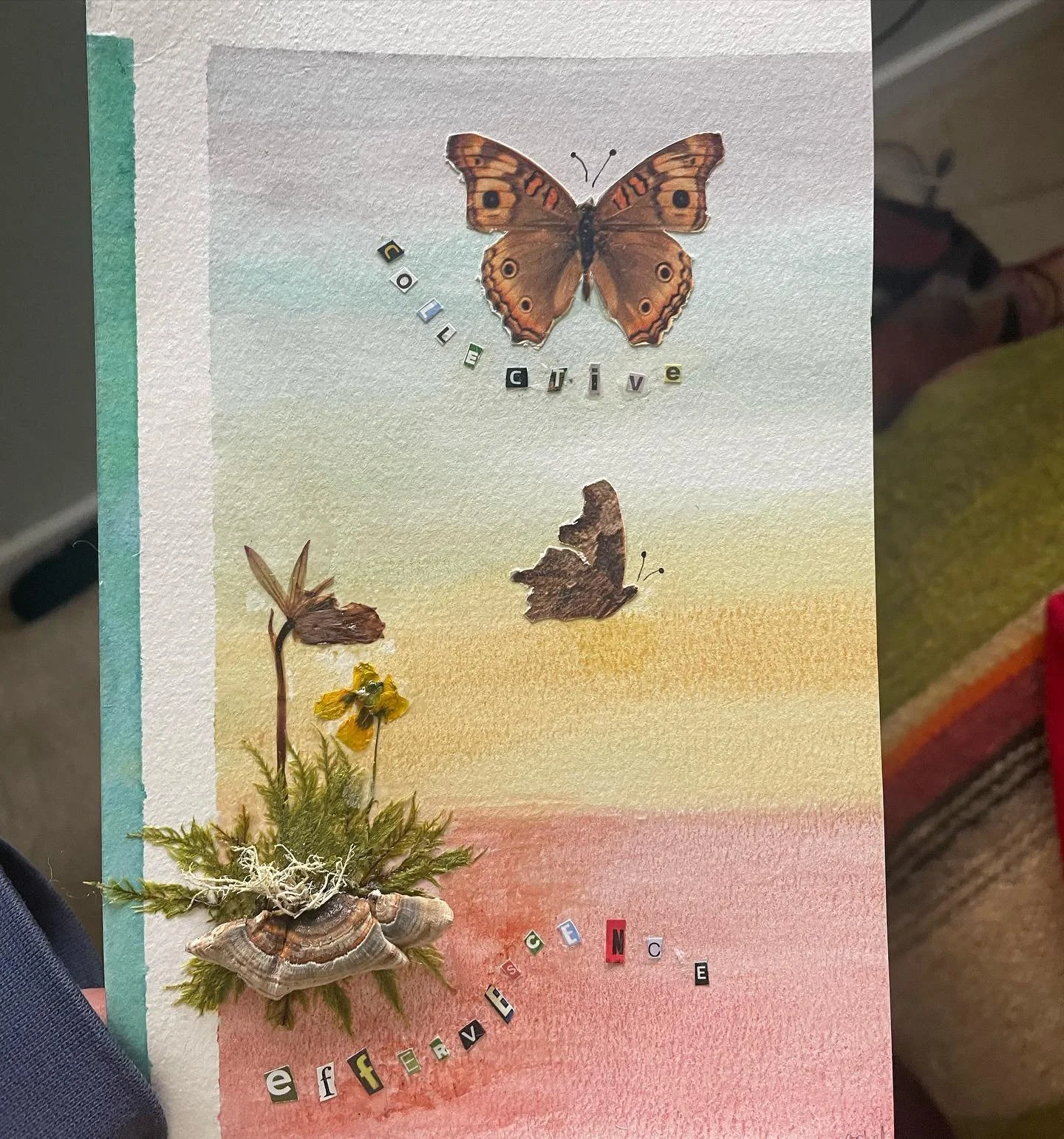I moved to Eugene, Oregon April 8th. An Angel witch called Steph was wwoofing on the farm I moved to, Xannadu Lavender farm, a magical place cultivated by Anna Greenberg and other beautiful souls. 
The day I moved in Steph said you have friends (her