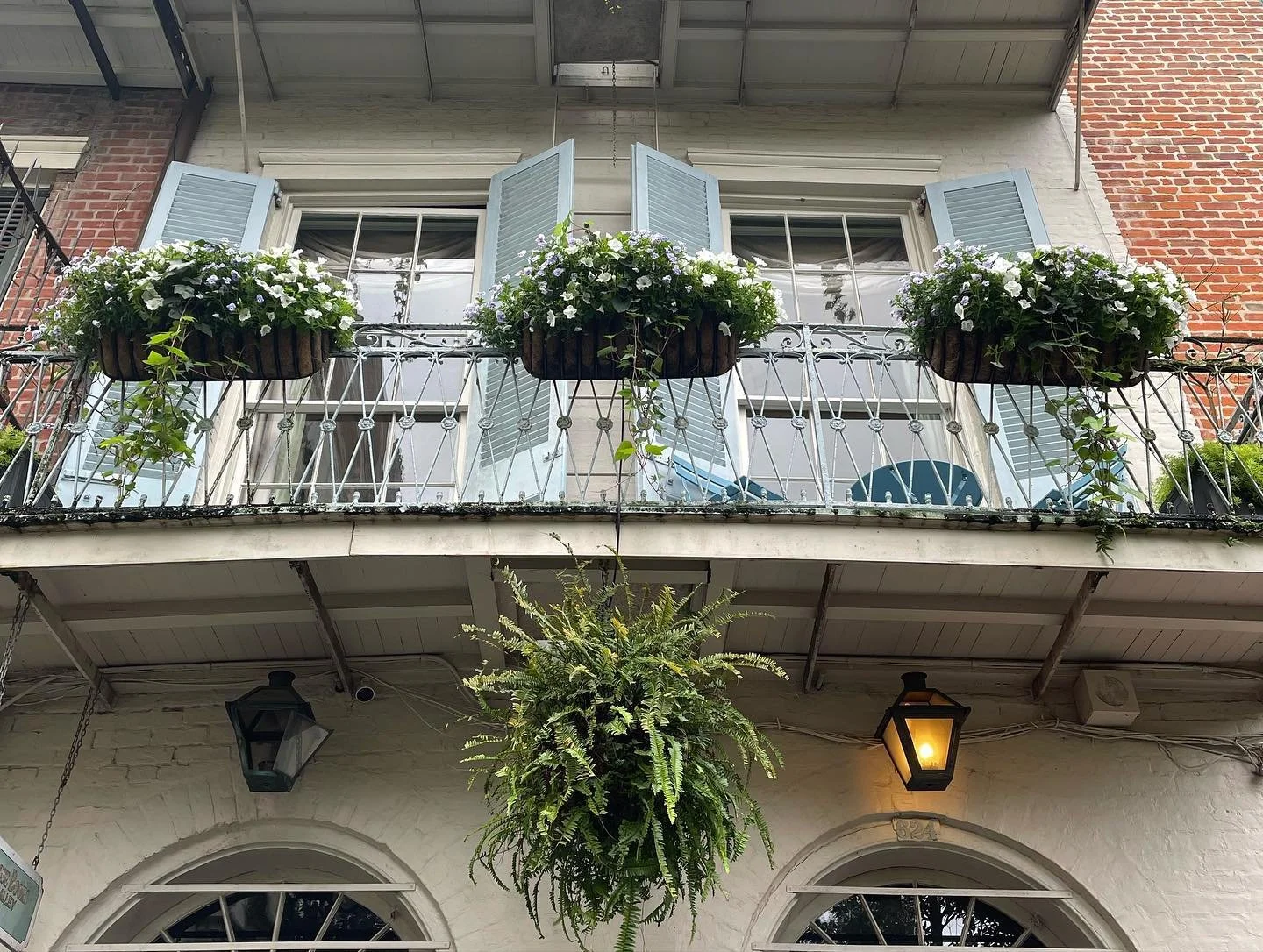 nola