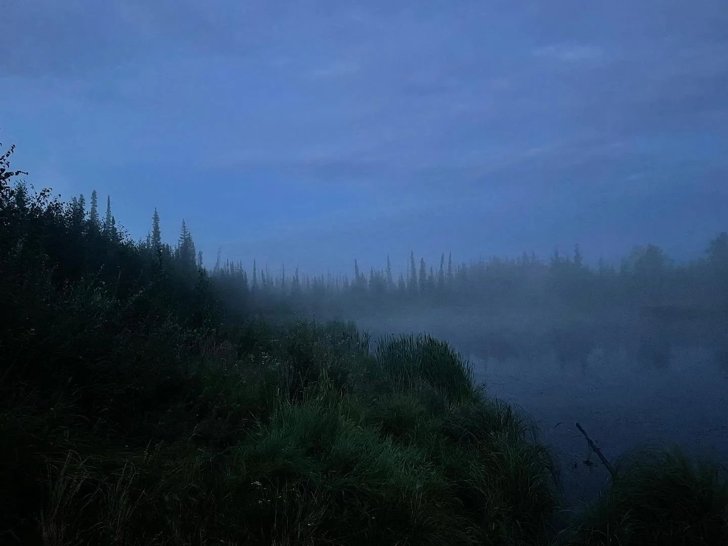 what a stimulating week . 8/9/21 watched beetlejuice and got to exist in lovely mist