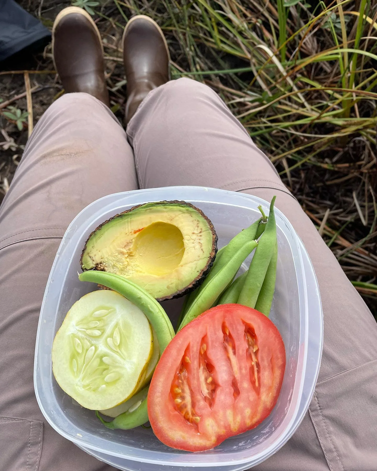 Final day of field work was yesterday (Friday the 13th) 👻 Feeling spookiness in mi cabeza <///3 excited to taste freedom in a lil a solo trip around Alaska, nervous to leave a place and go back to school when I feel so at home and in my happiest