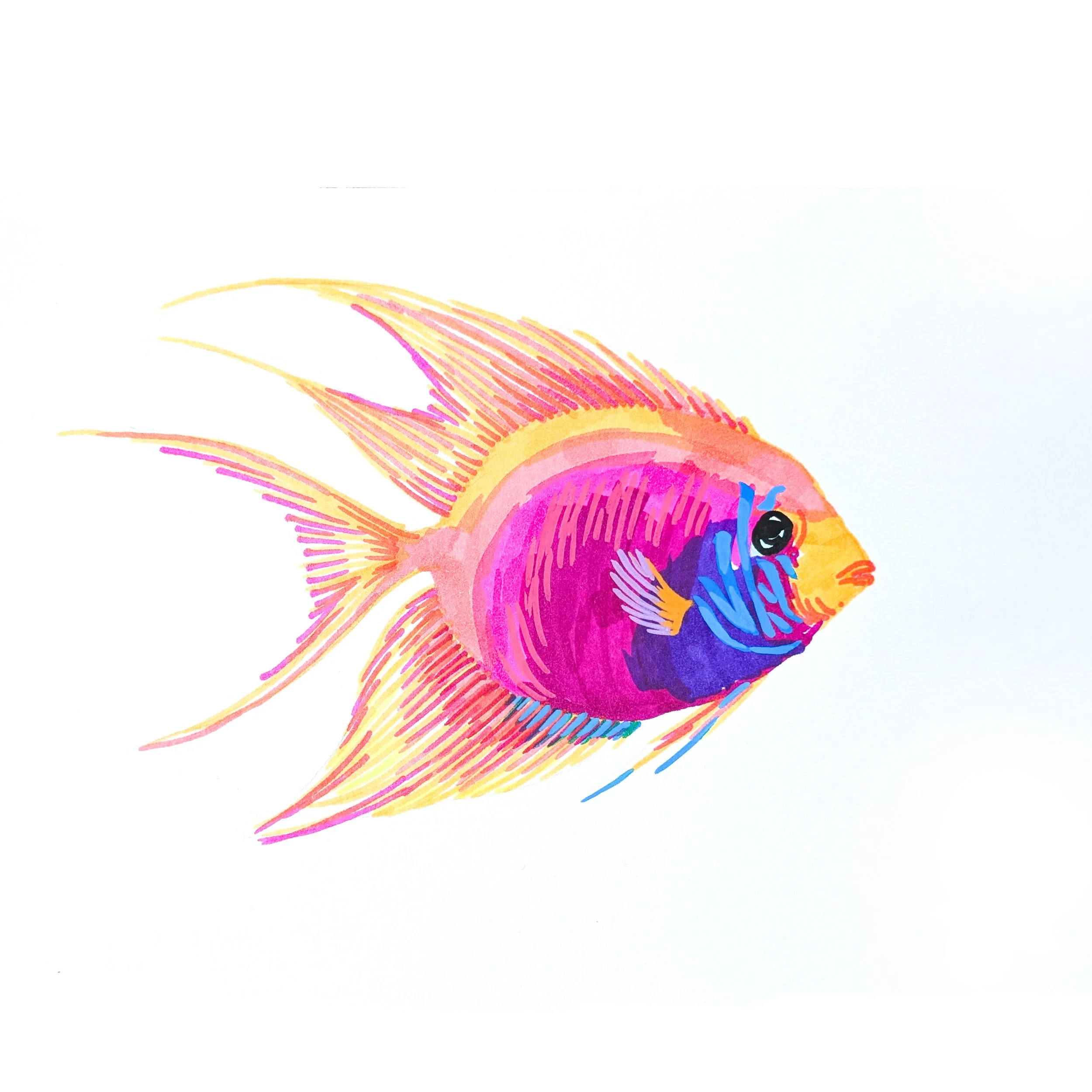 Fish 07