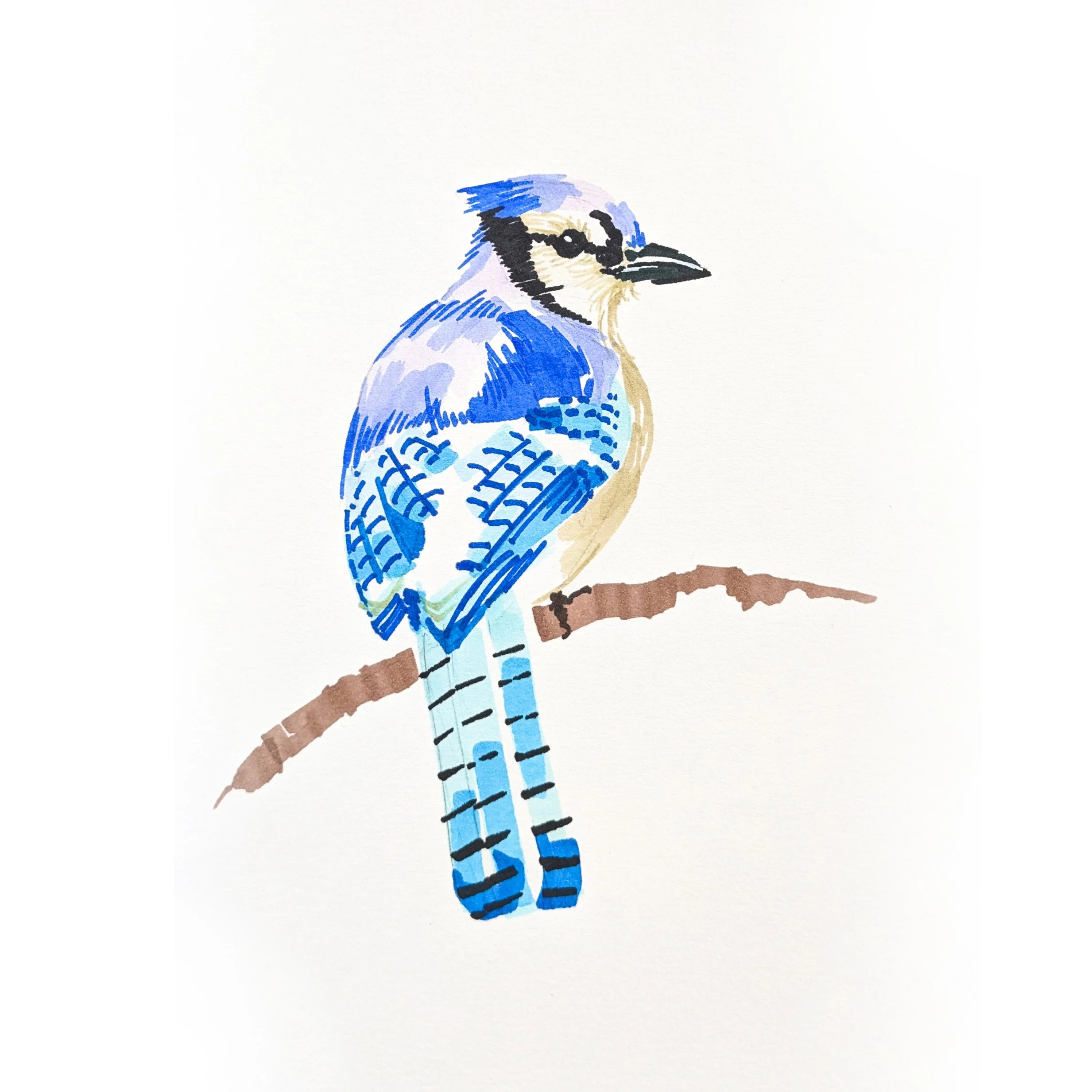 Bird 02