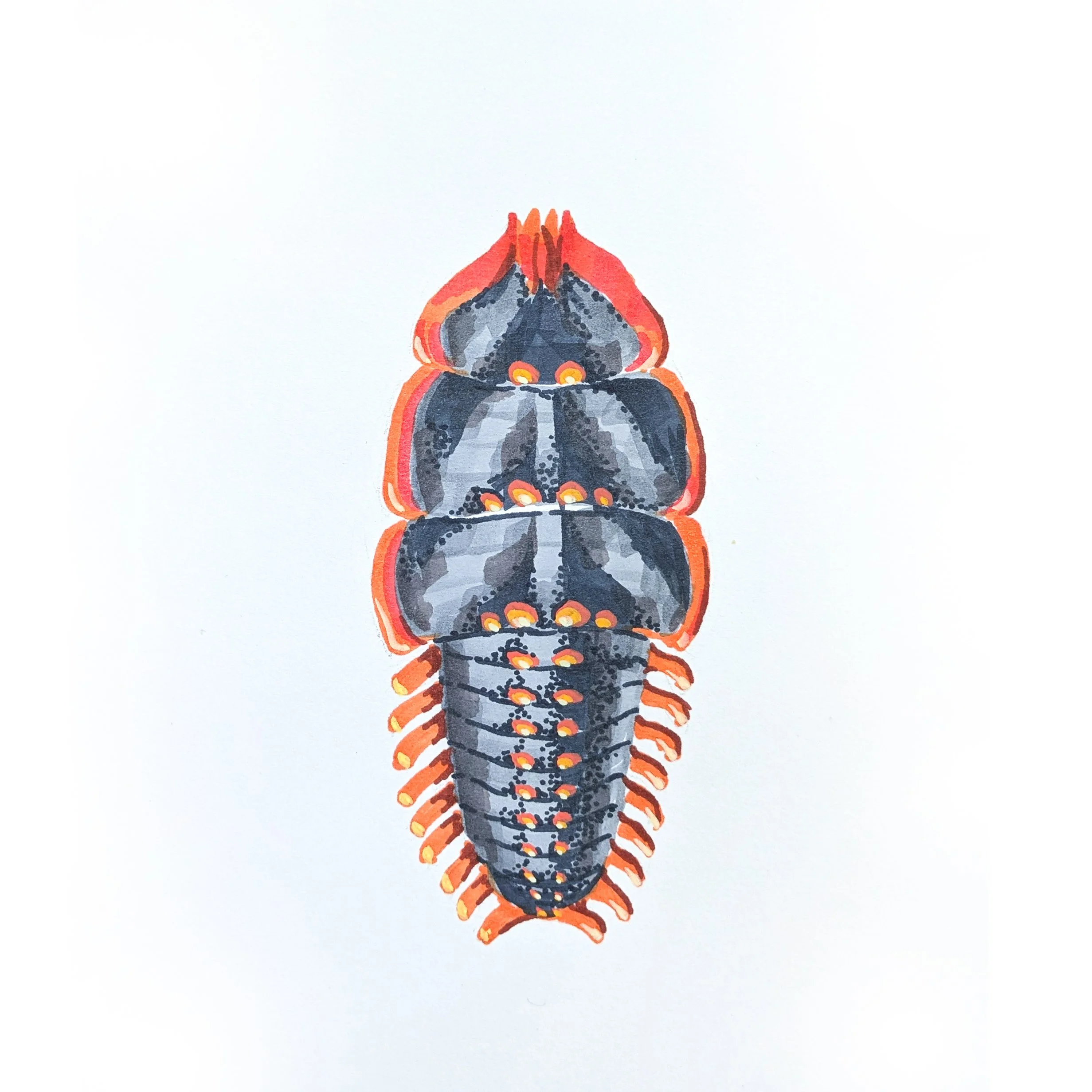 Bug 03