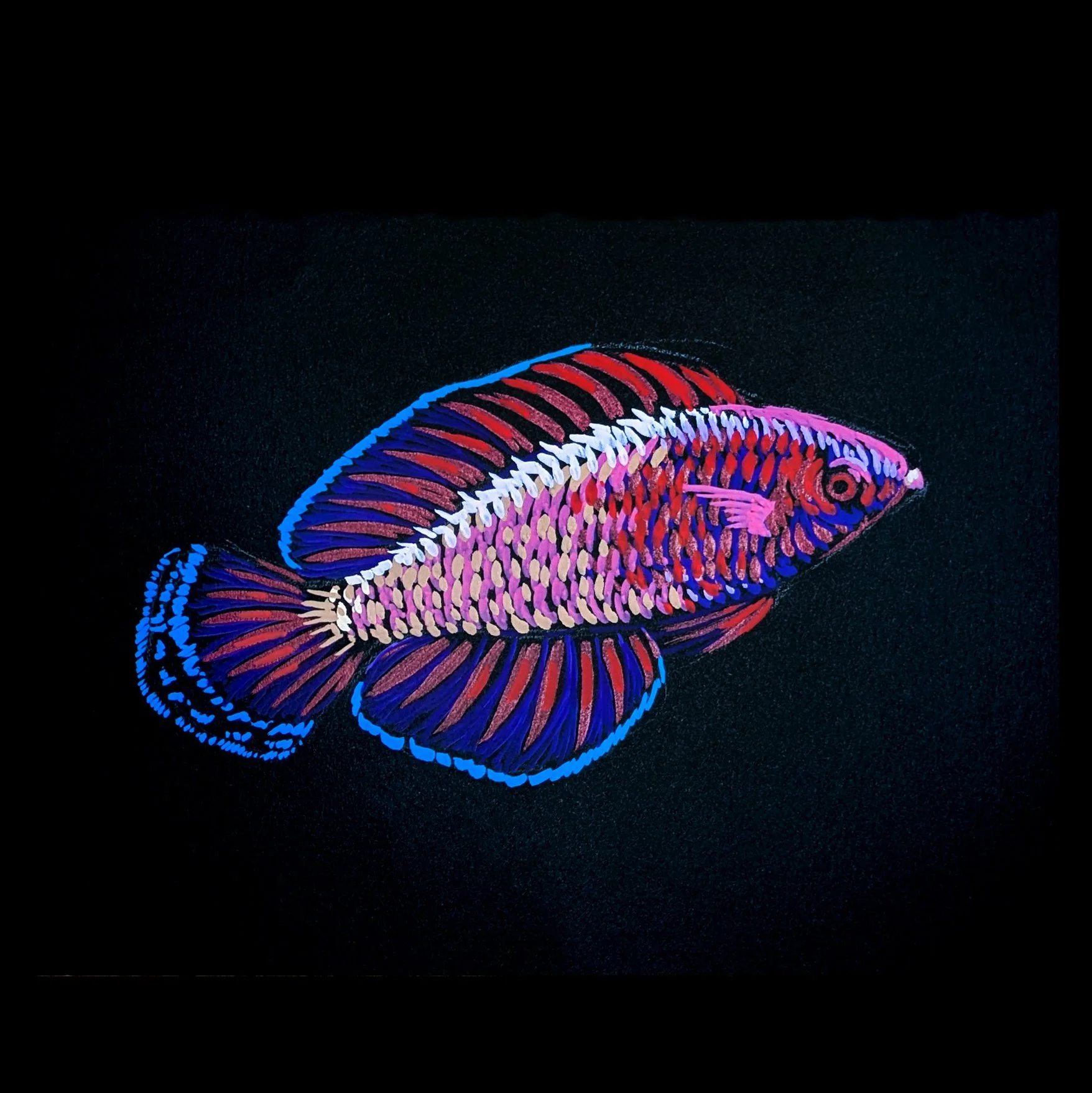 Fish 06