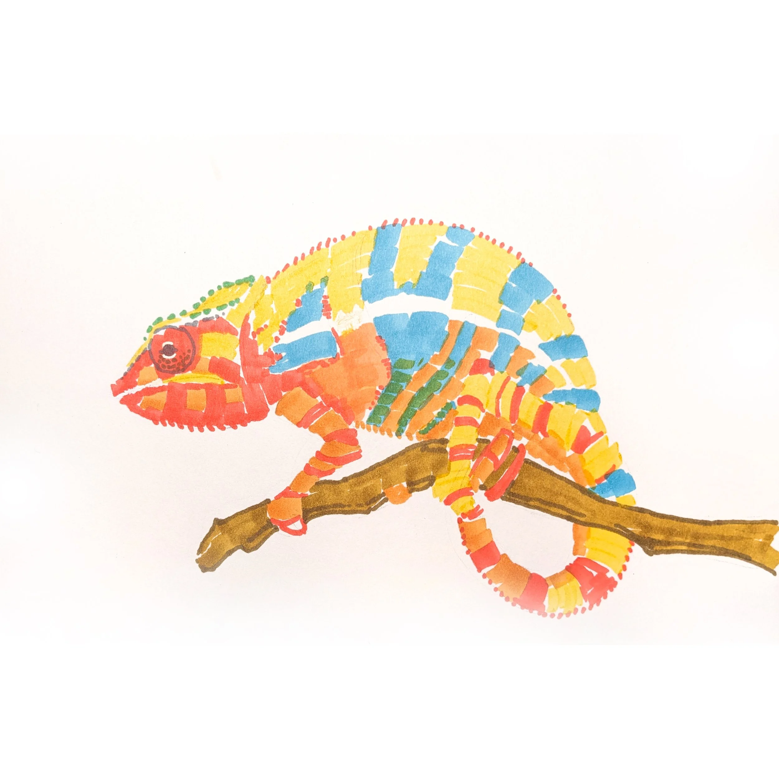 Chameleon 01