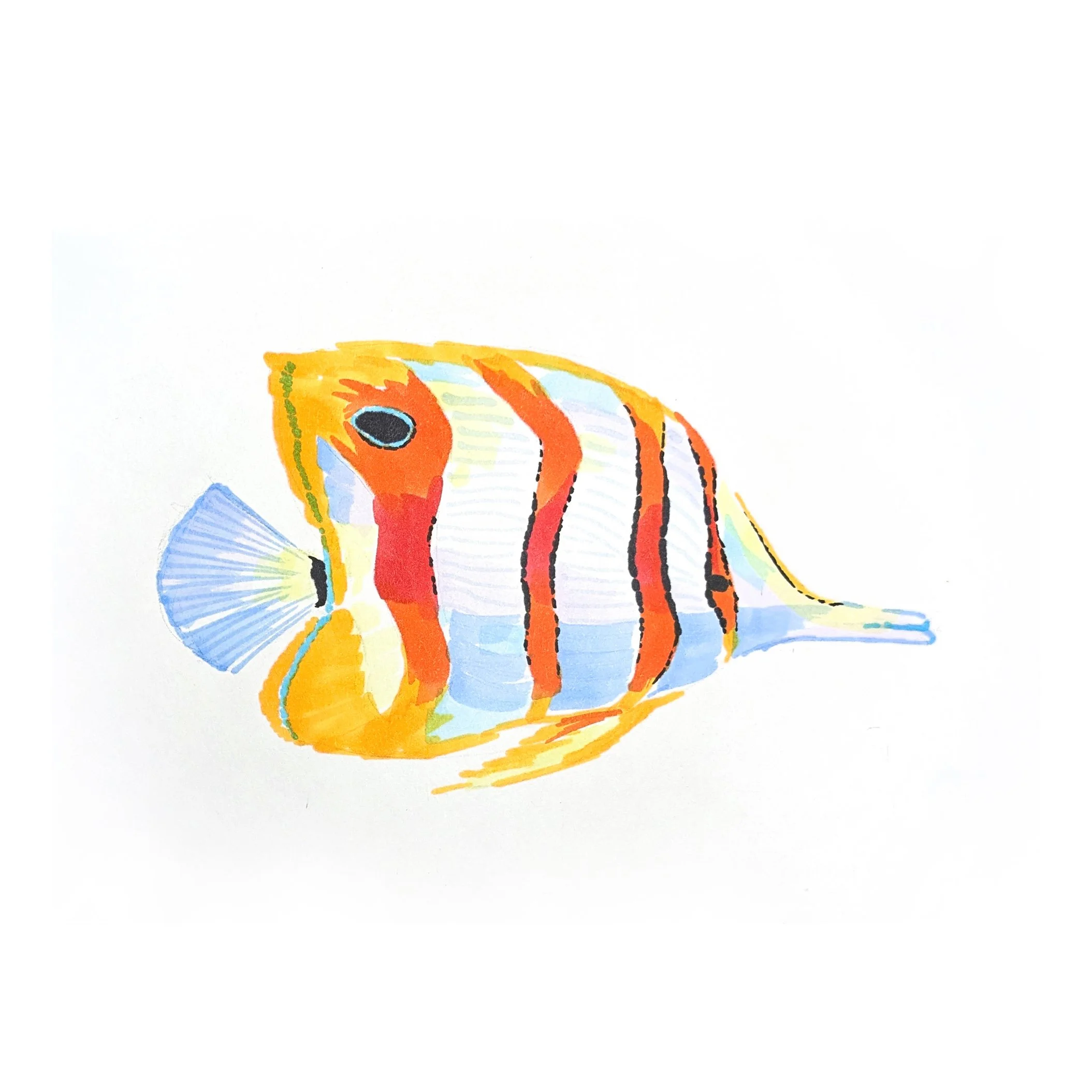 Fish 03