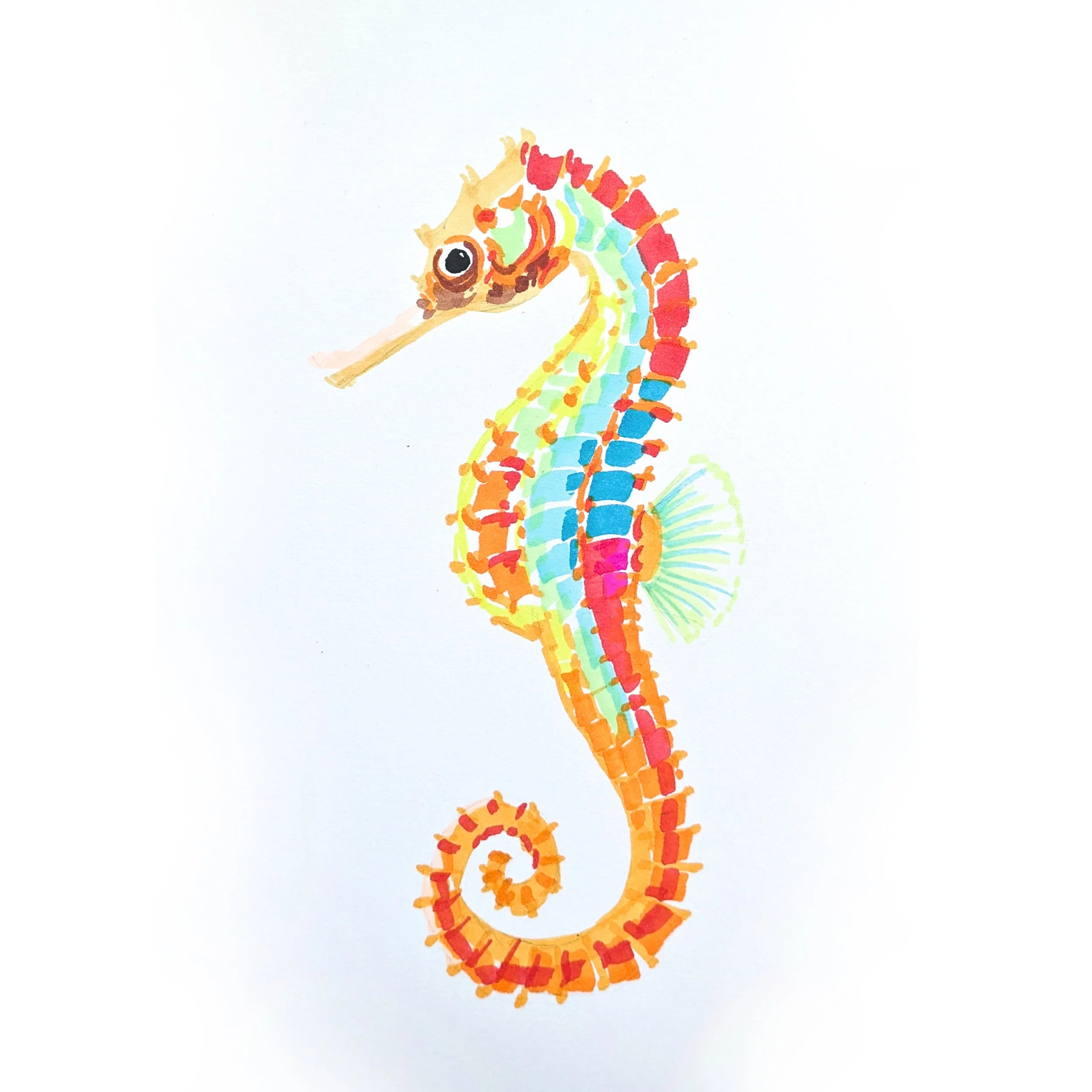 Seahorse 01