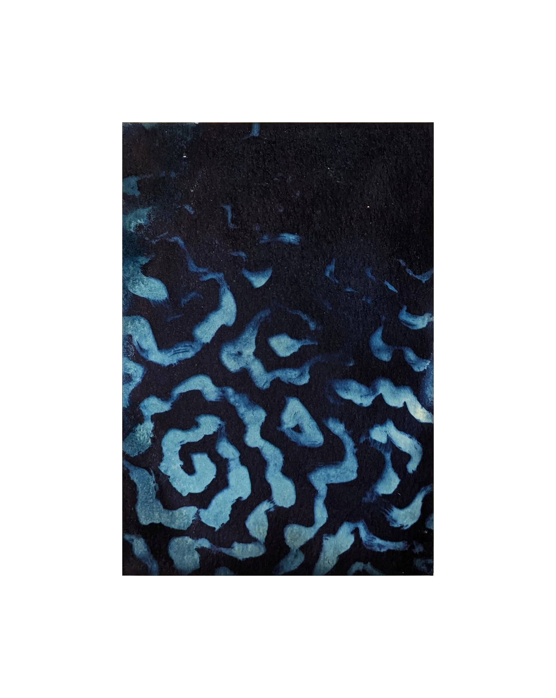Blue Dream, Cyanotype on paper, 5.5" x 4", 2025