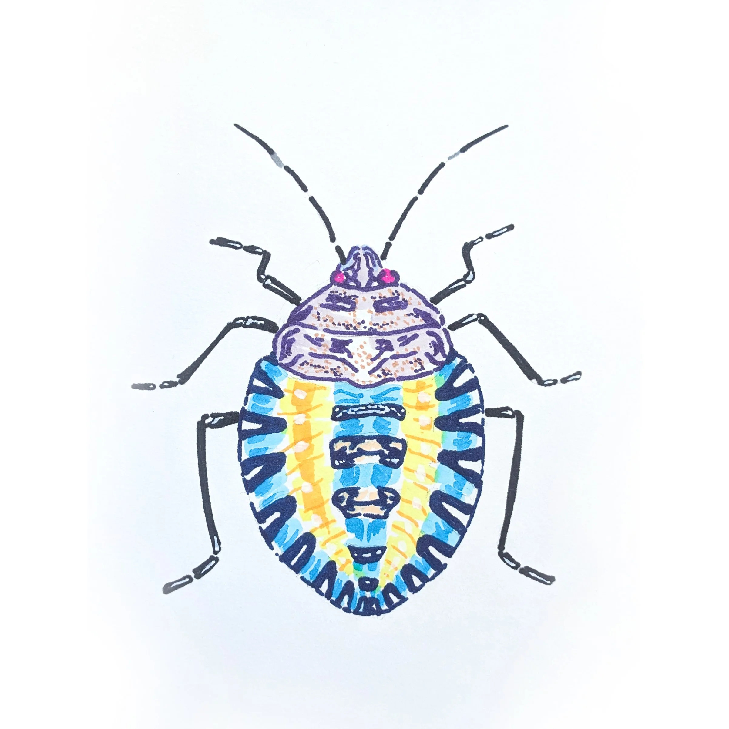 Bug 02