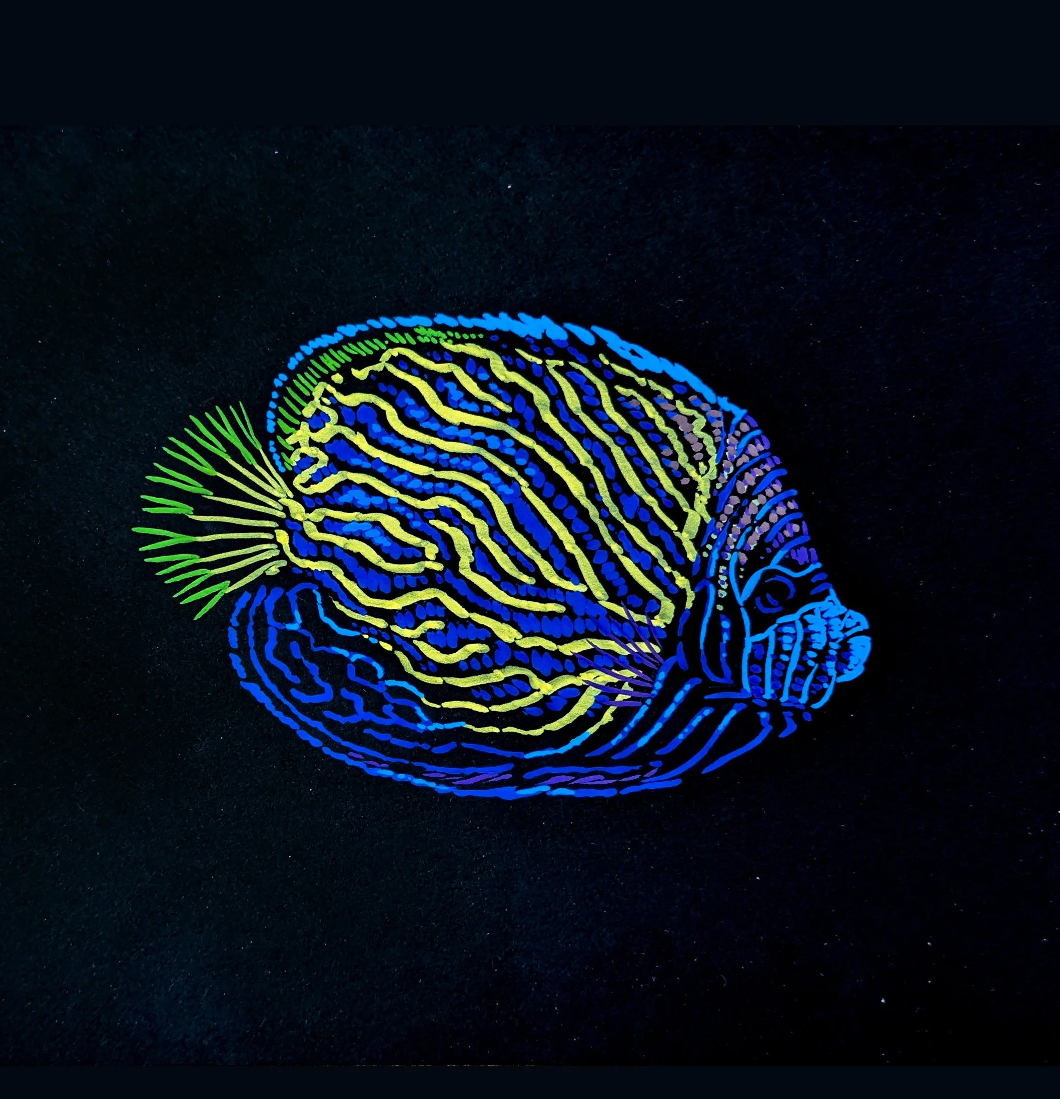 Fish 08