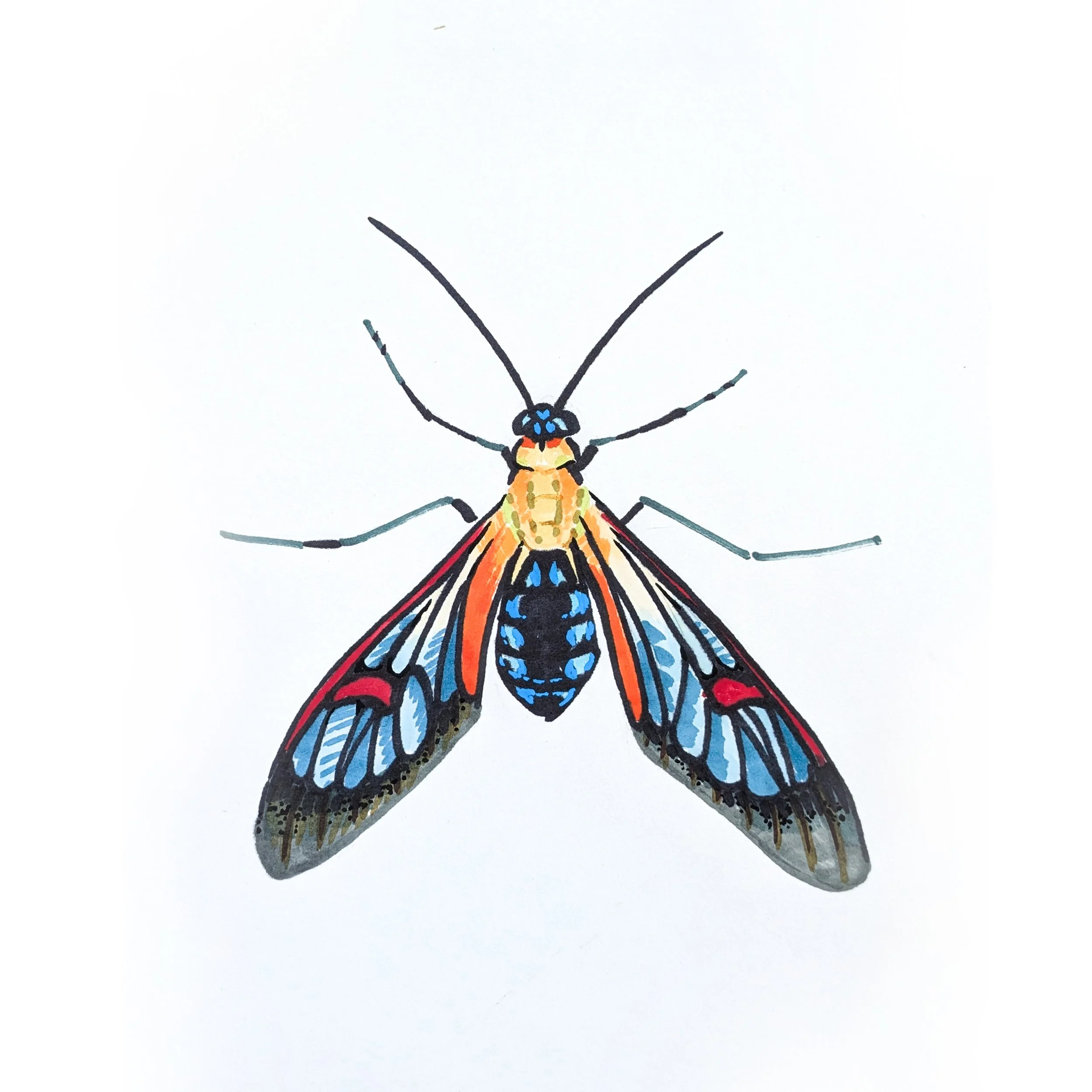 Bug 04