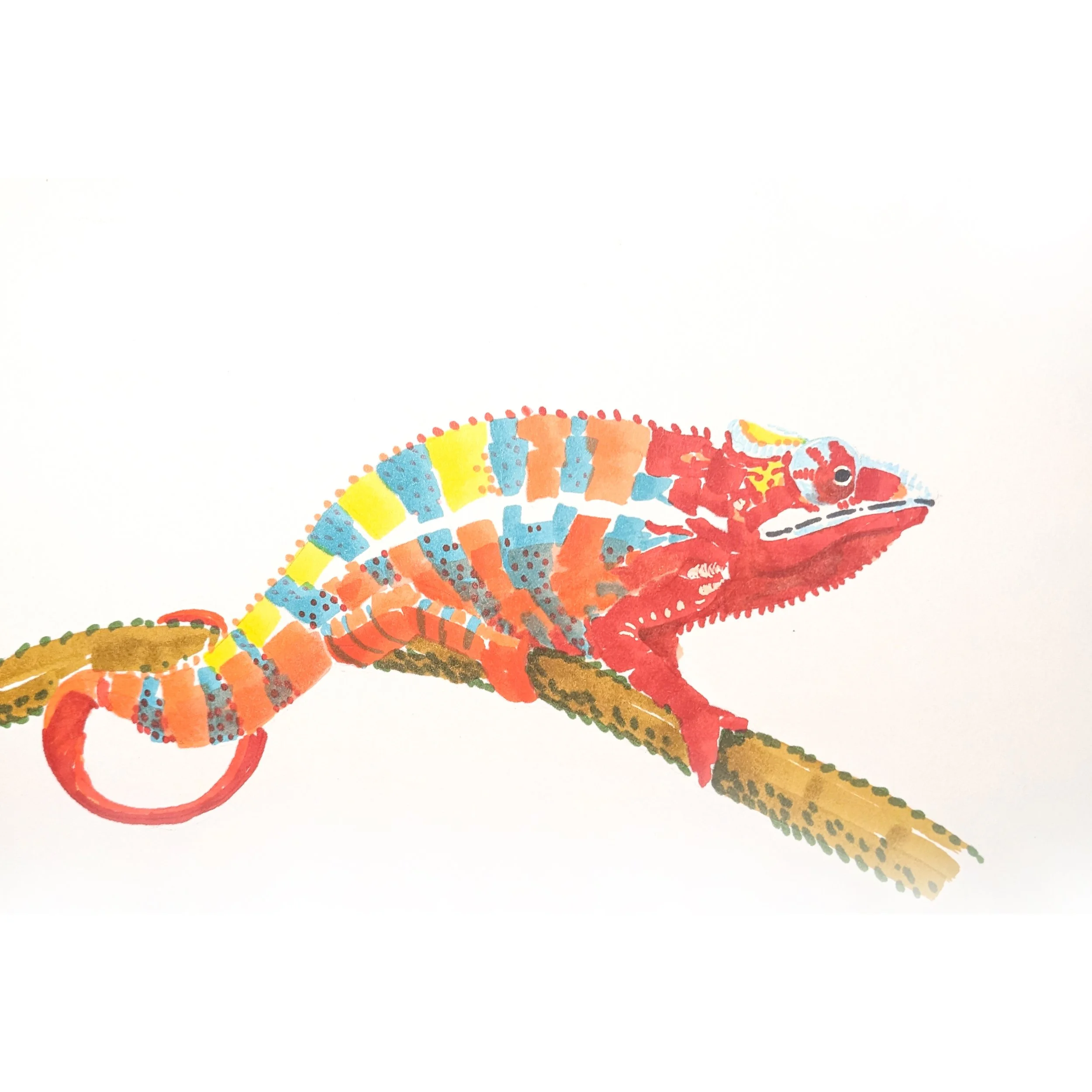 Chameleon 02