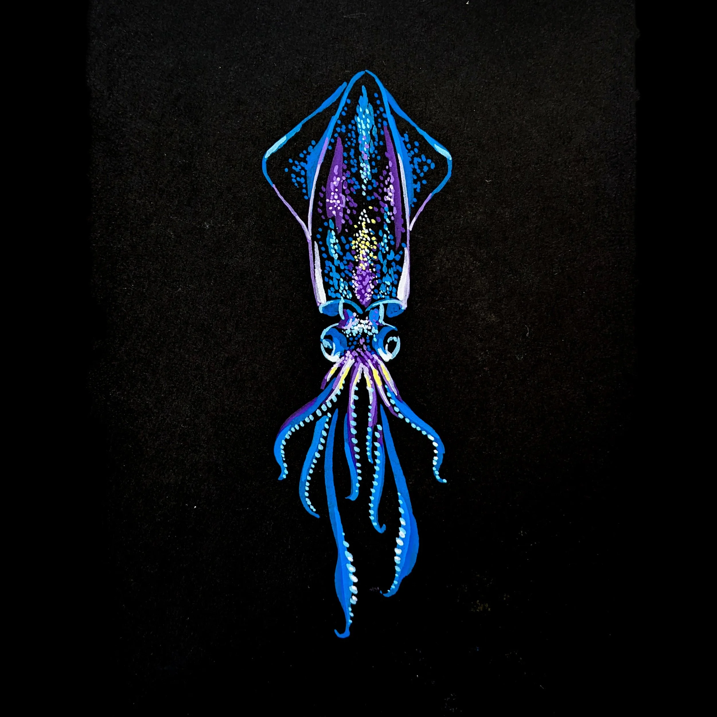 Squid 02