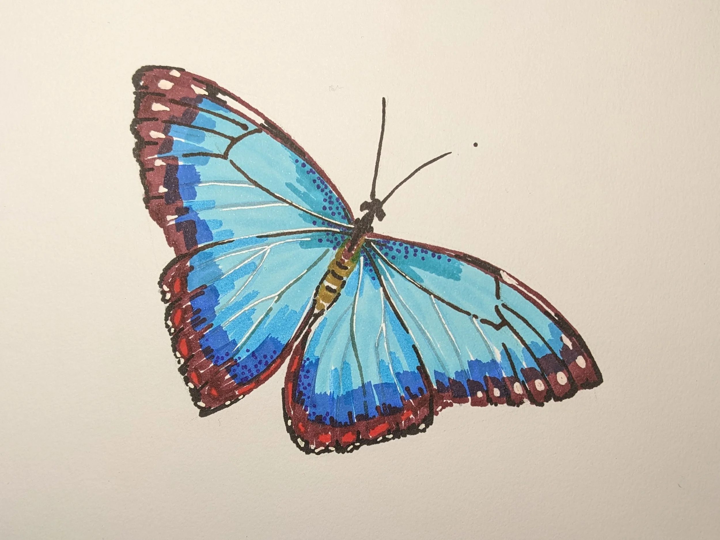 Butterfly 01