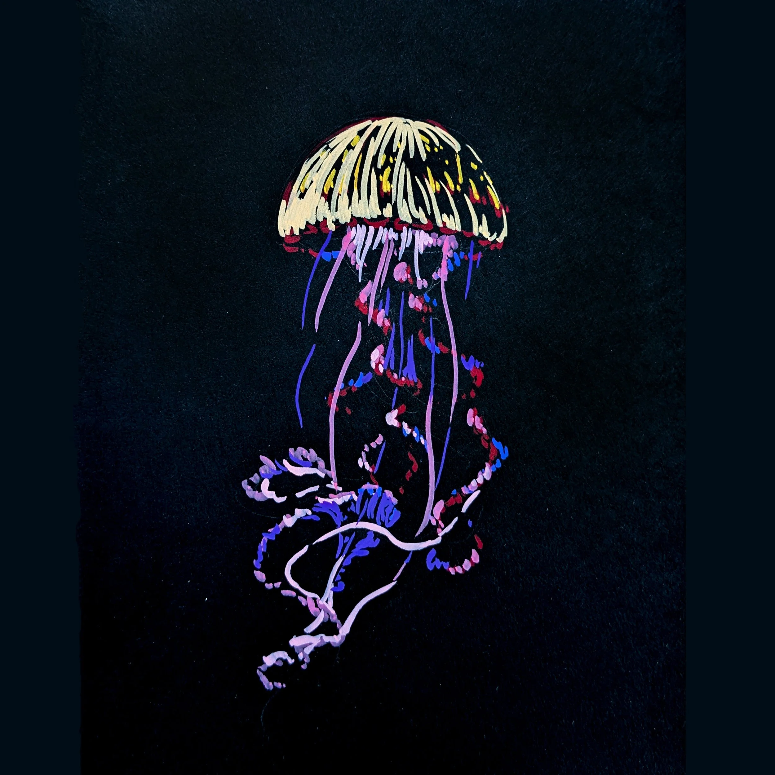 Jellyfish 01