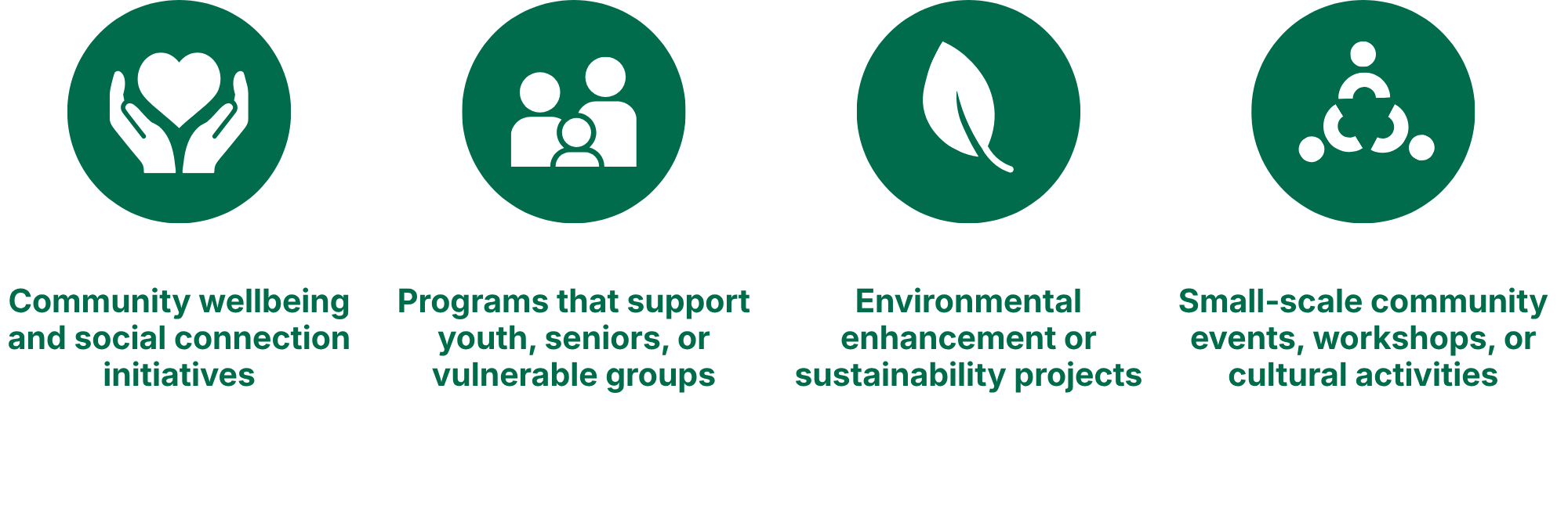 Icons with text highlighting community wellbeing, youth and vulnerable groups programs, environmental projects, and small-scale community events.