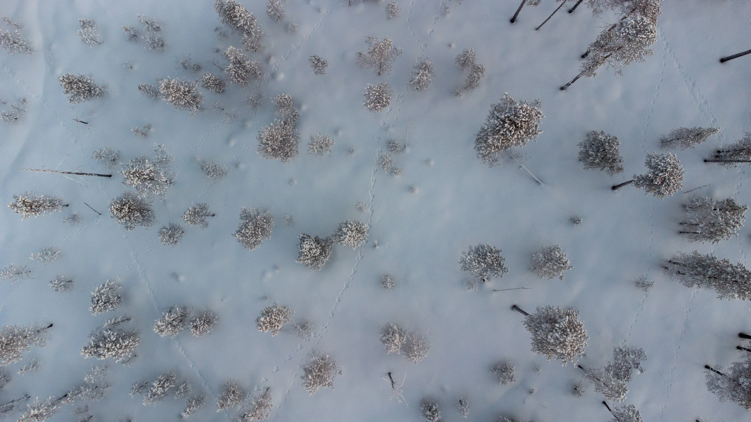 DroneTalviKuva.11.1.2025 -Teemu Pohjoisvirta-5.jpg