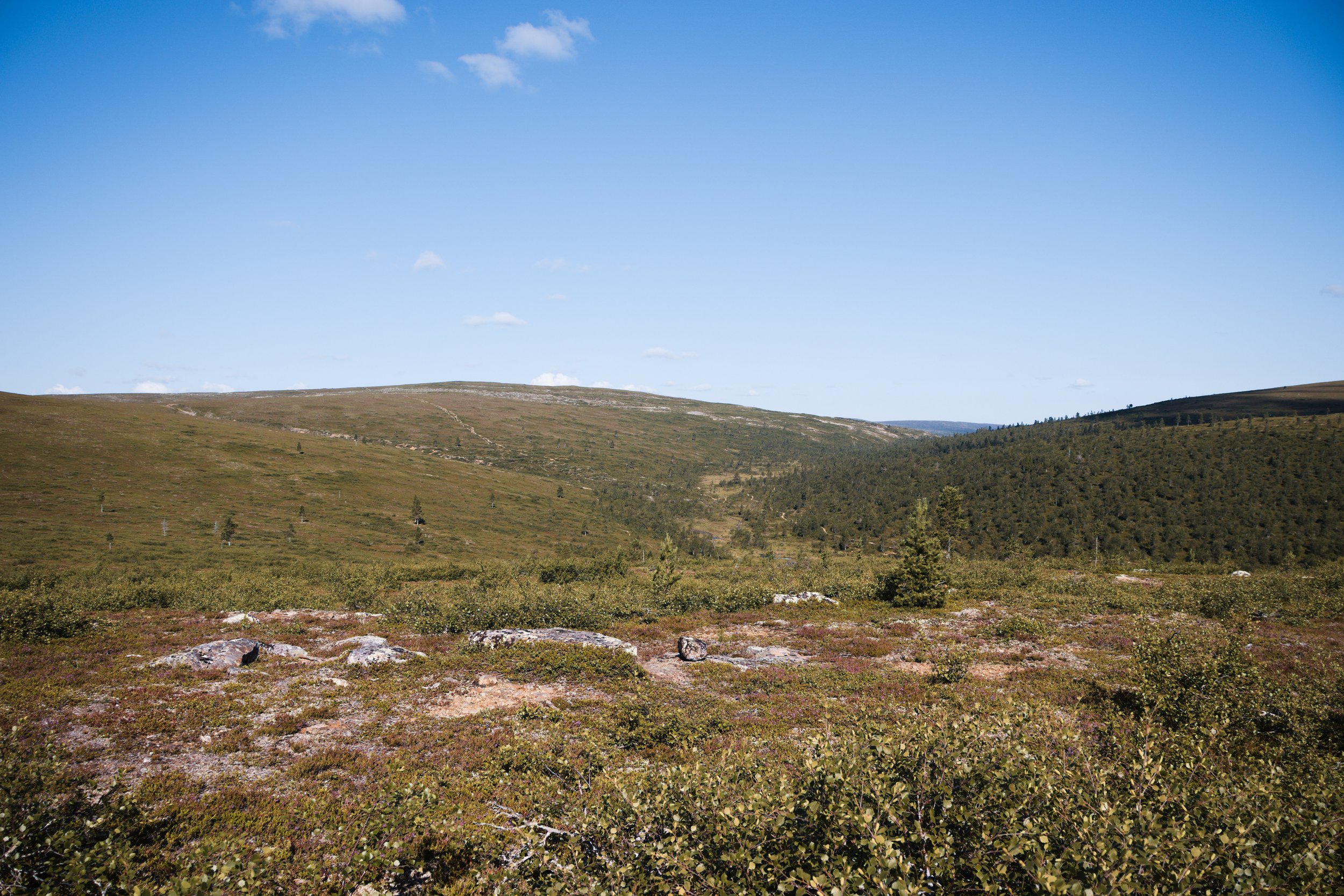 Maisema1_11zon.jpg