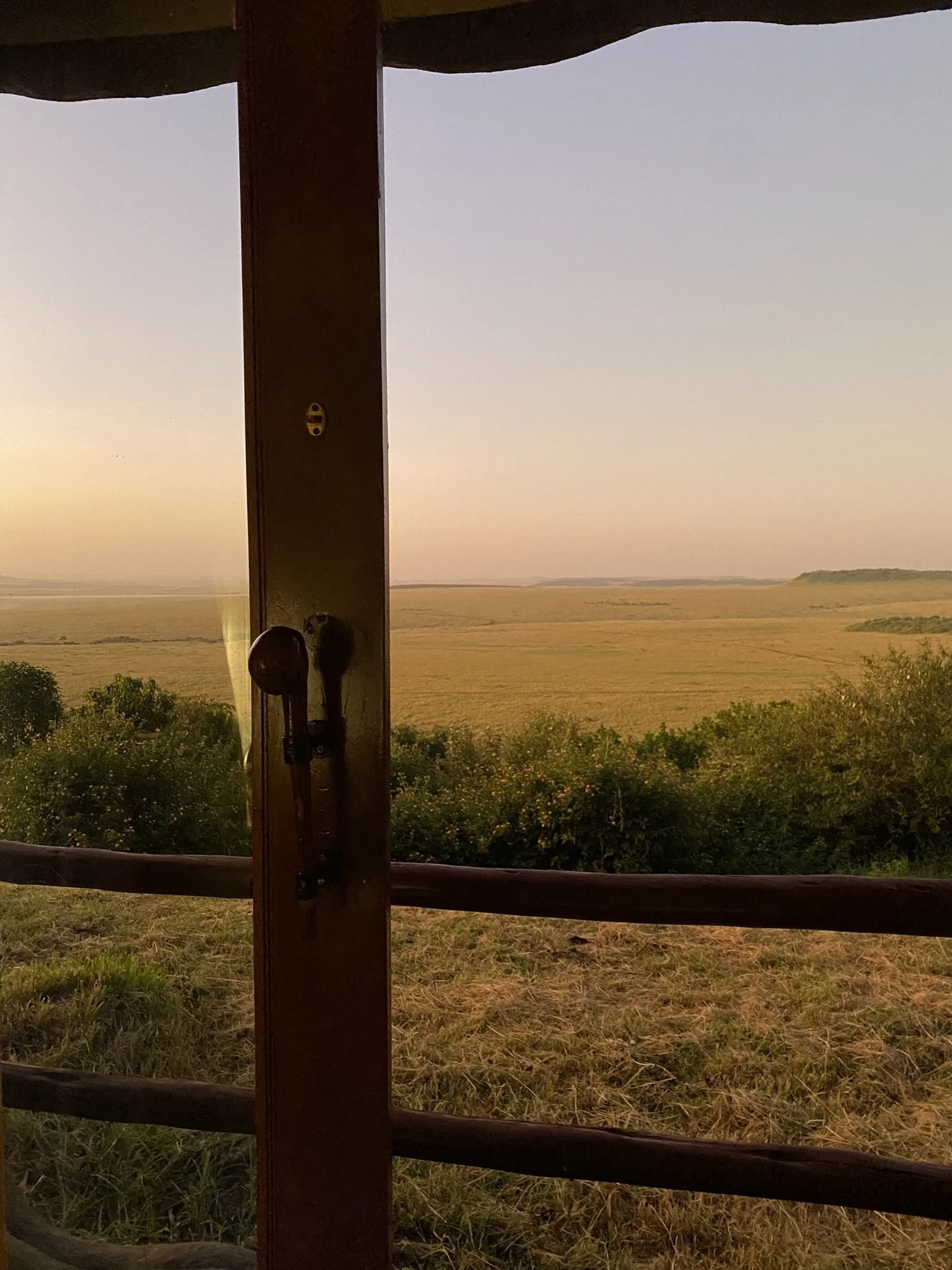 IMG_1192.JPEG