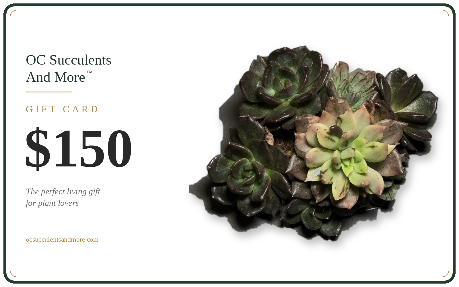 Gift Card — Perfect Gift For Plant Lovers - view 5