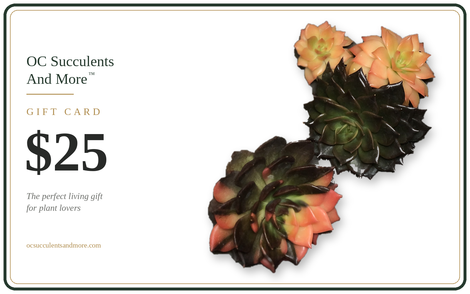 Gift Card | Rare Succulents and Bonsai