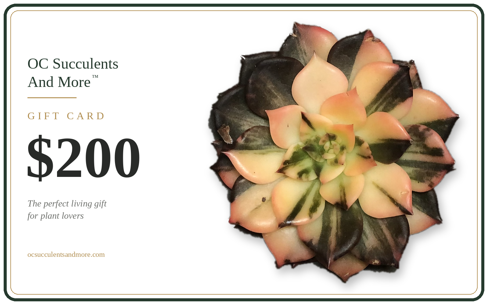Gift Card — Perfect Gift For Plant Lovers - view 6