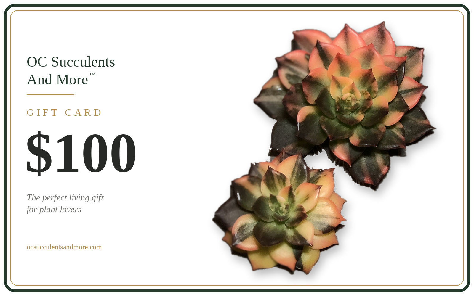 Gift Card — Perfect Gift For Plant Lovers - view 4