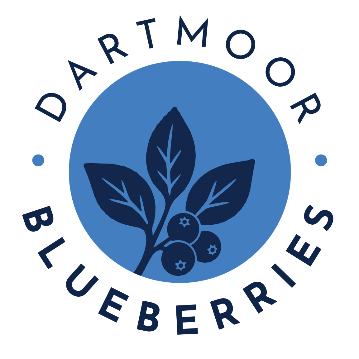Dartmoor Blueberries