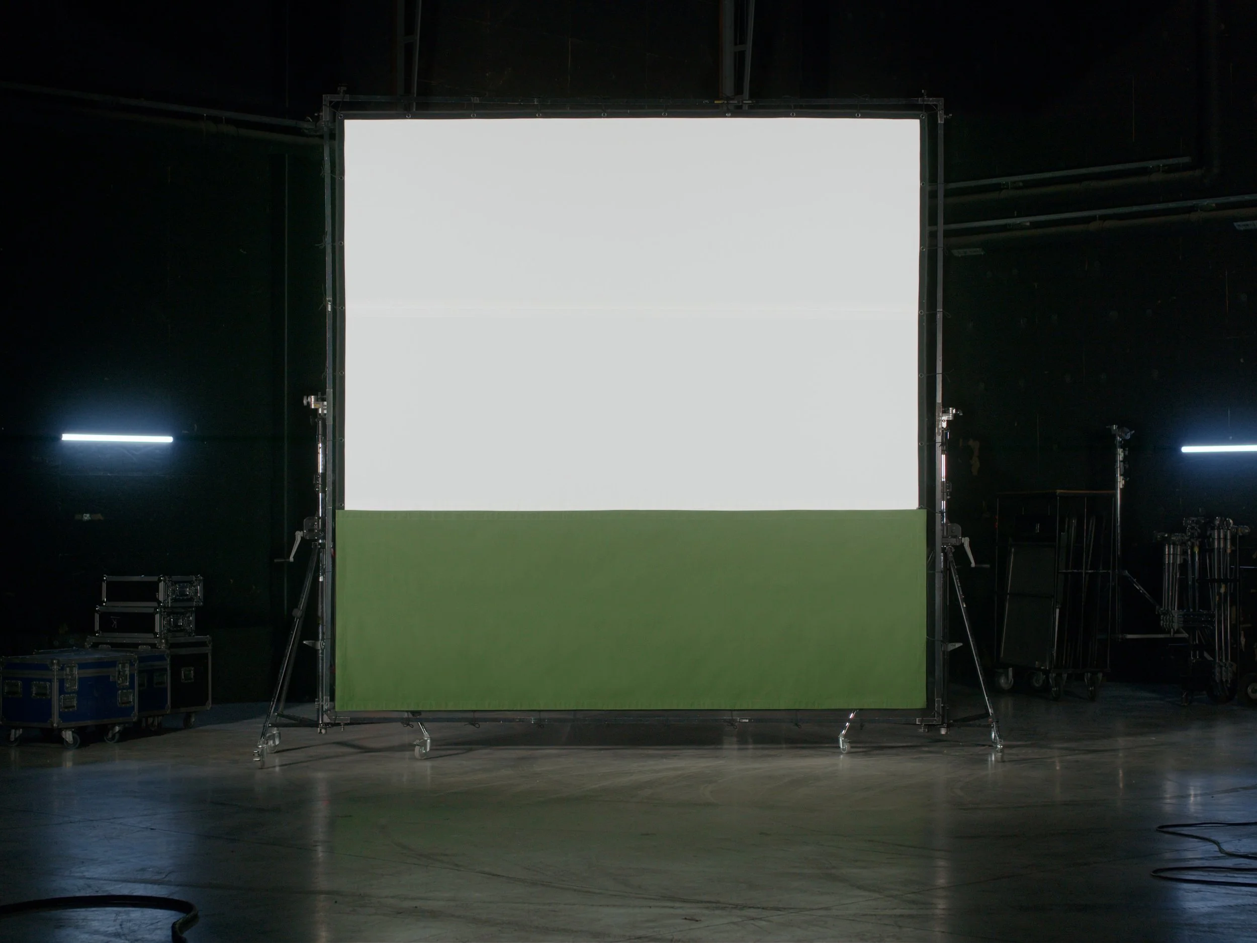 12x12 White Base Forest Strip.jpg