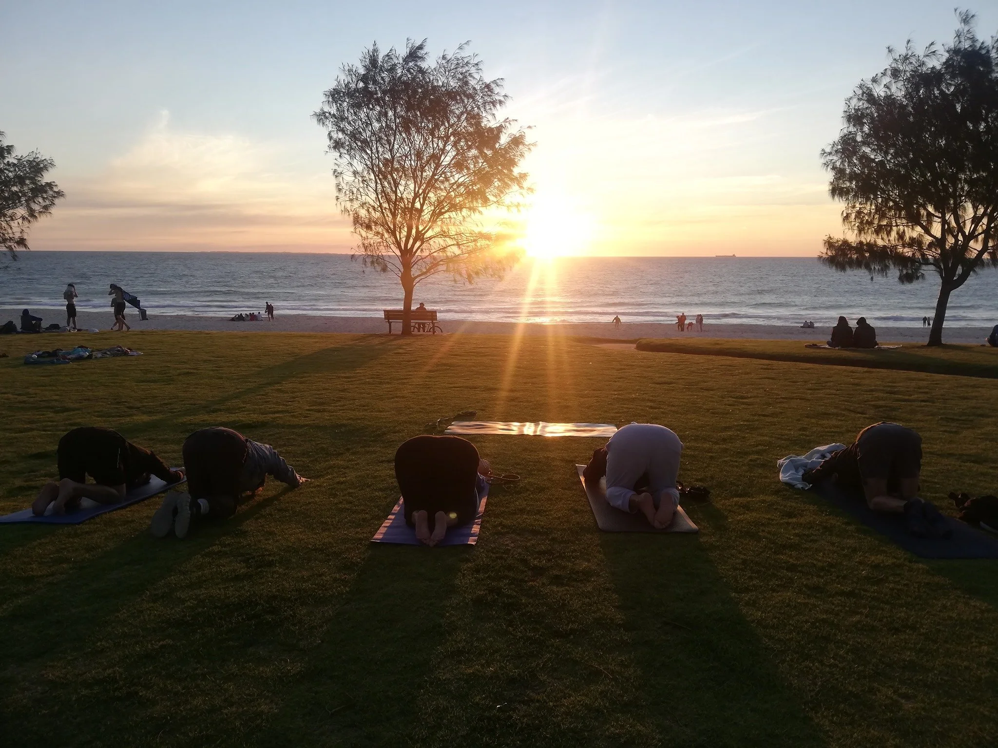 People practicing yoga on mats on a grassy area facing the ocean at sunset, with trees on either side and a few people on the beach.