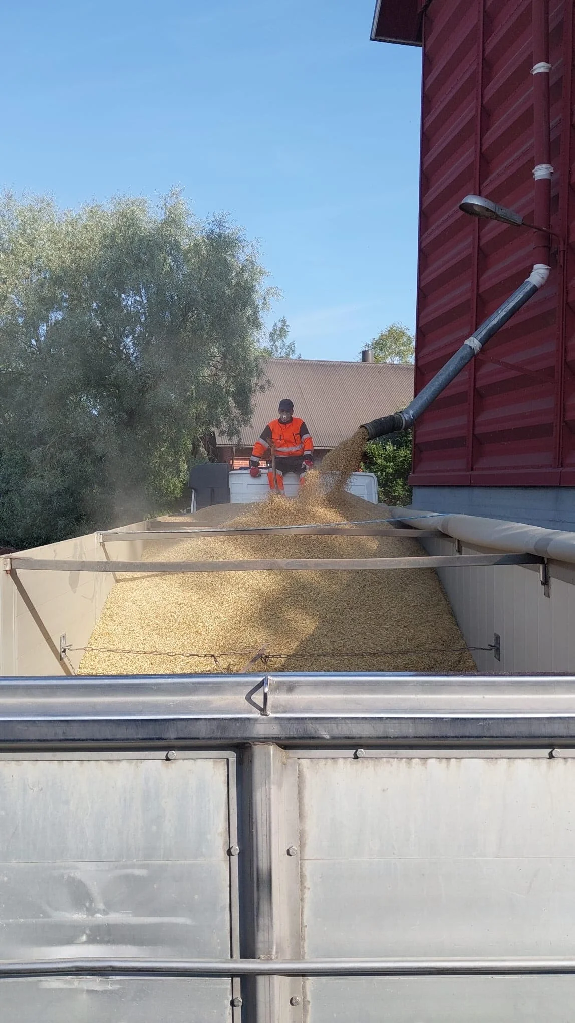 viljan lastausta.jpg