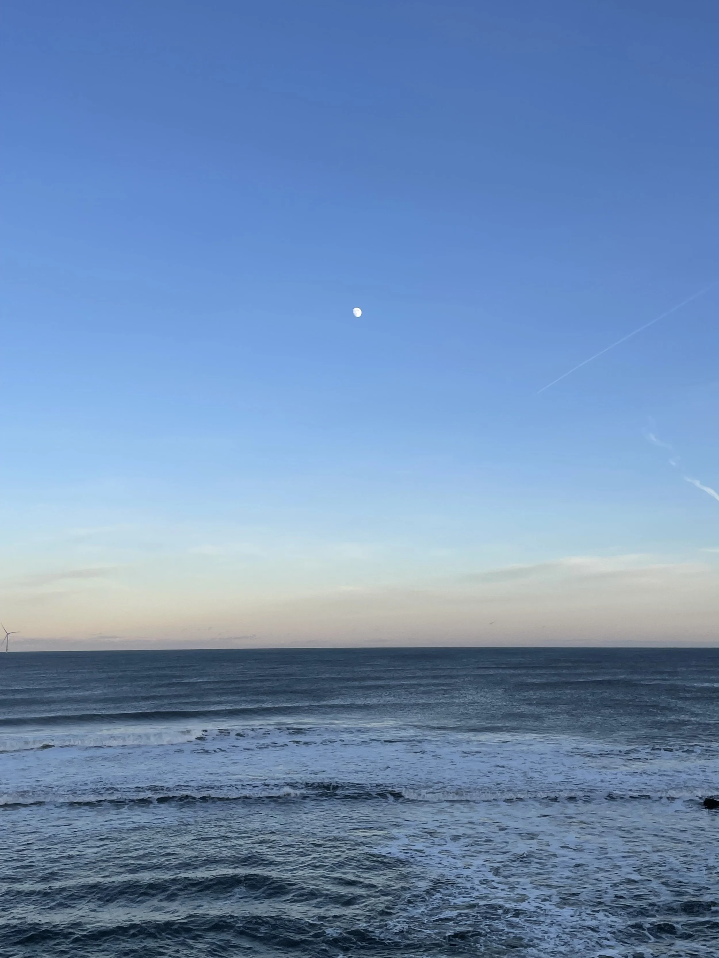 A New Year, in mid- winter? Really?