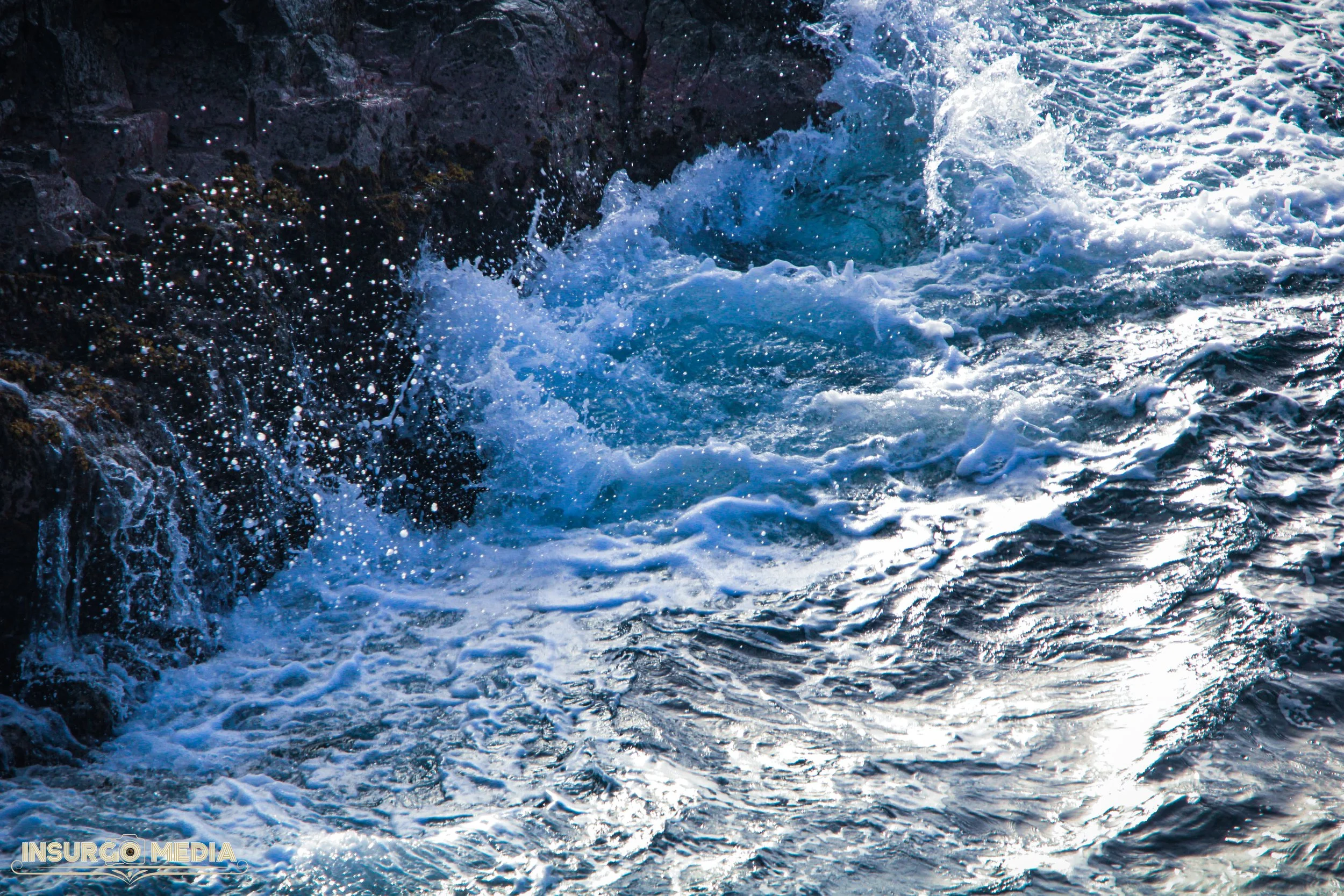 IMG_1506.jpg