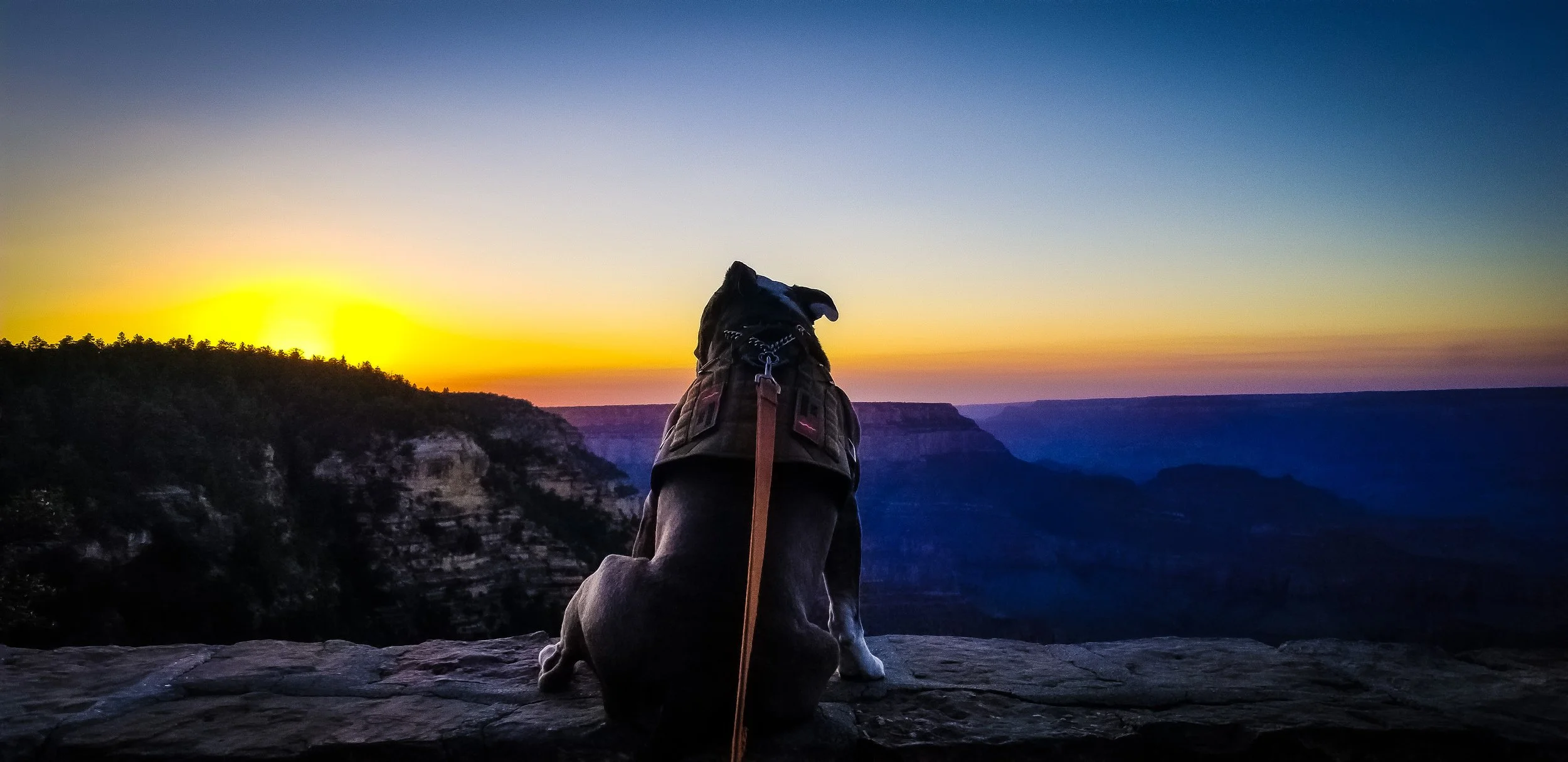 20200831_185028 (1).jpg