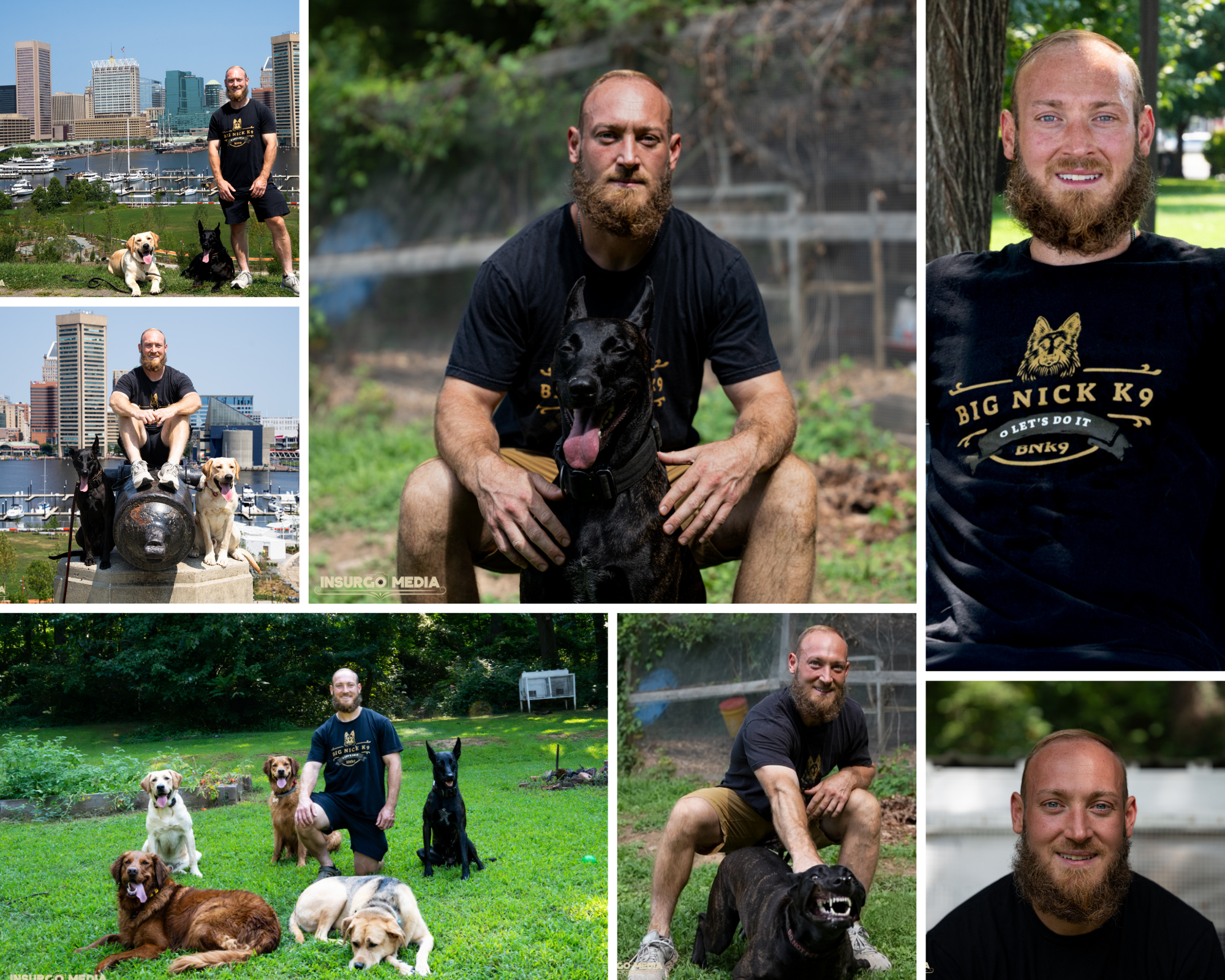 Multiple photos of Nick Gallina promoting Big Nick K9 posing with dogs in different outdoor settings including a cityscape, a wooded area, and a park. The dogs include Labrador Retrievers, a German Shepherd, and a black Belgian Malinois.
