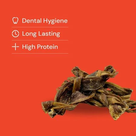 braided gullet 1.jpg