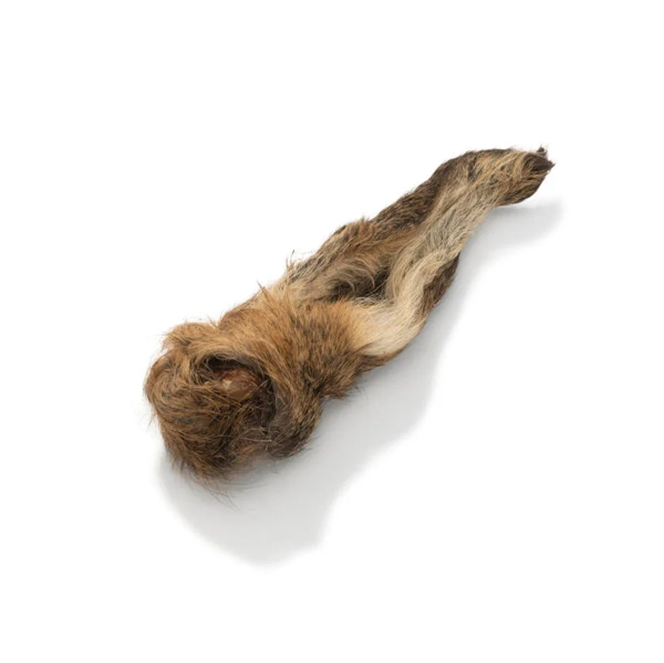 Venison Ears With Fur