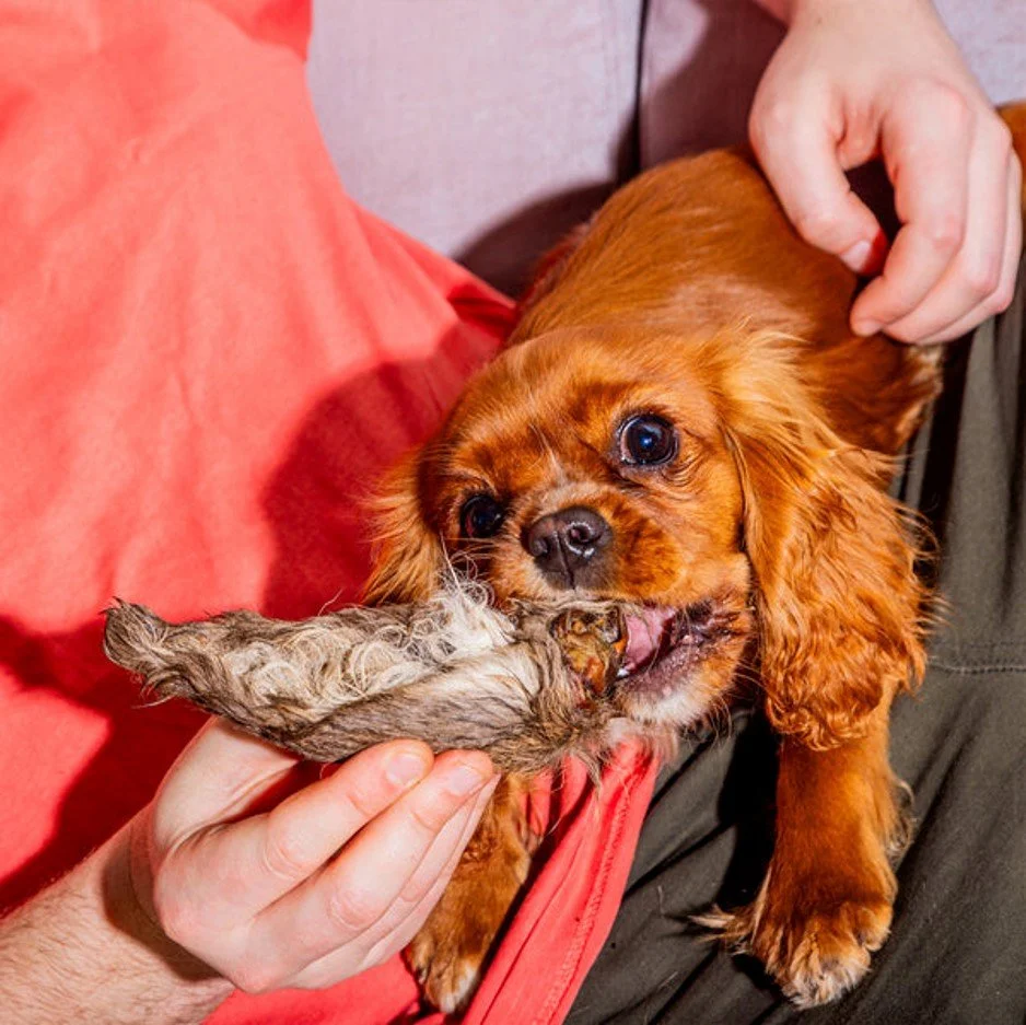 furry venison ears 3.jpg