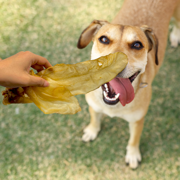 plain lamb ears2.png