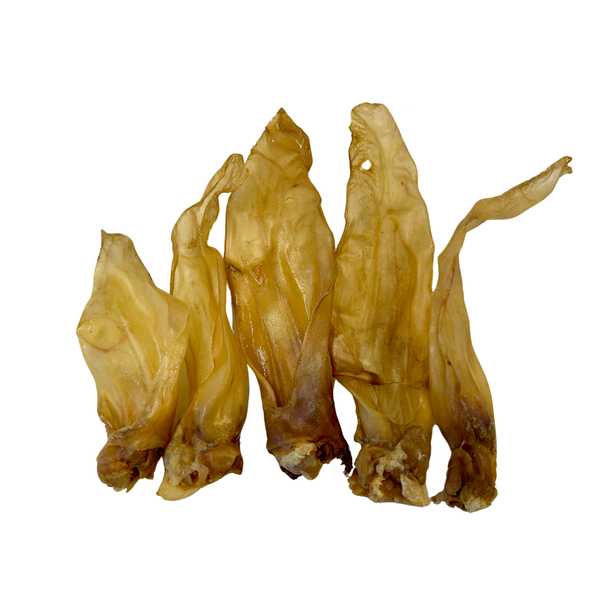 plain lamb ears 3.png
