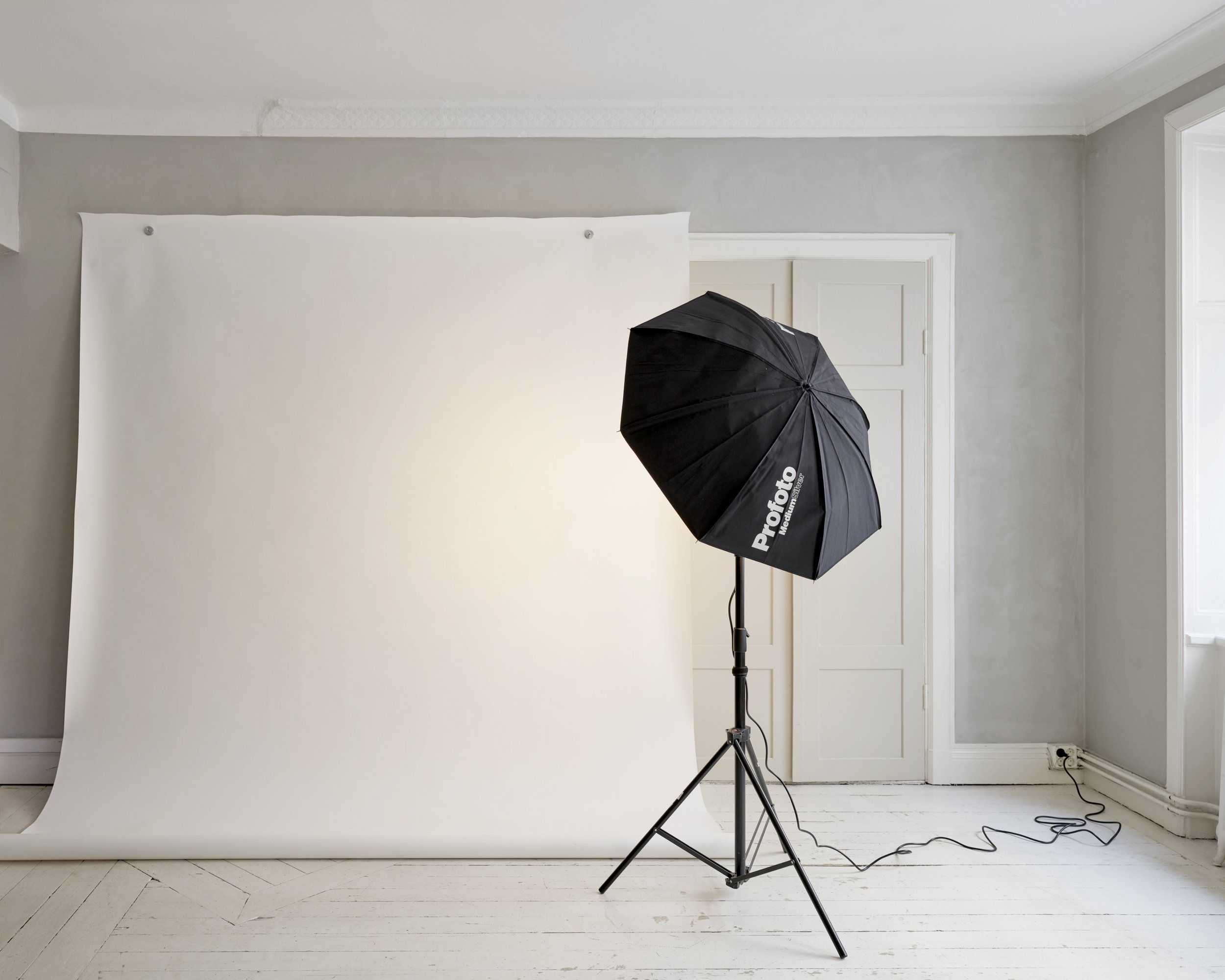 Parsley studio 24101816479.jpg