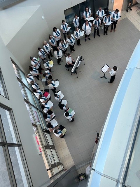 Group Shot from Above.jpg